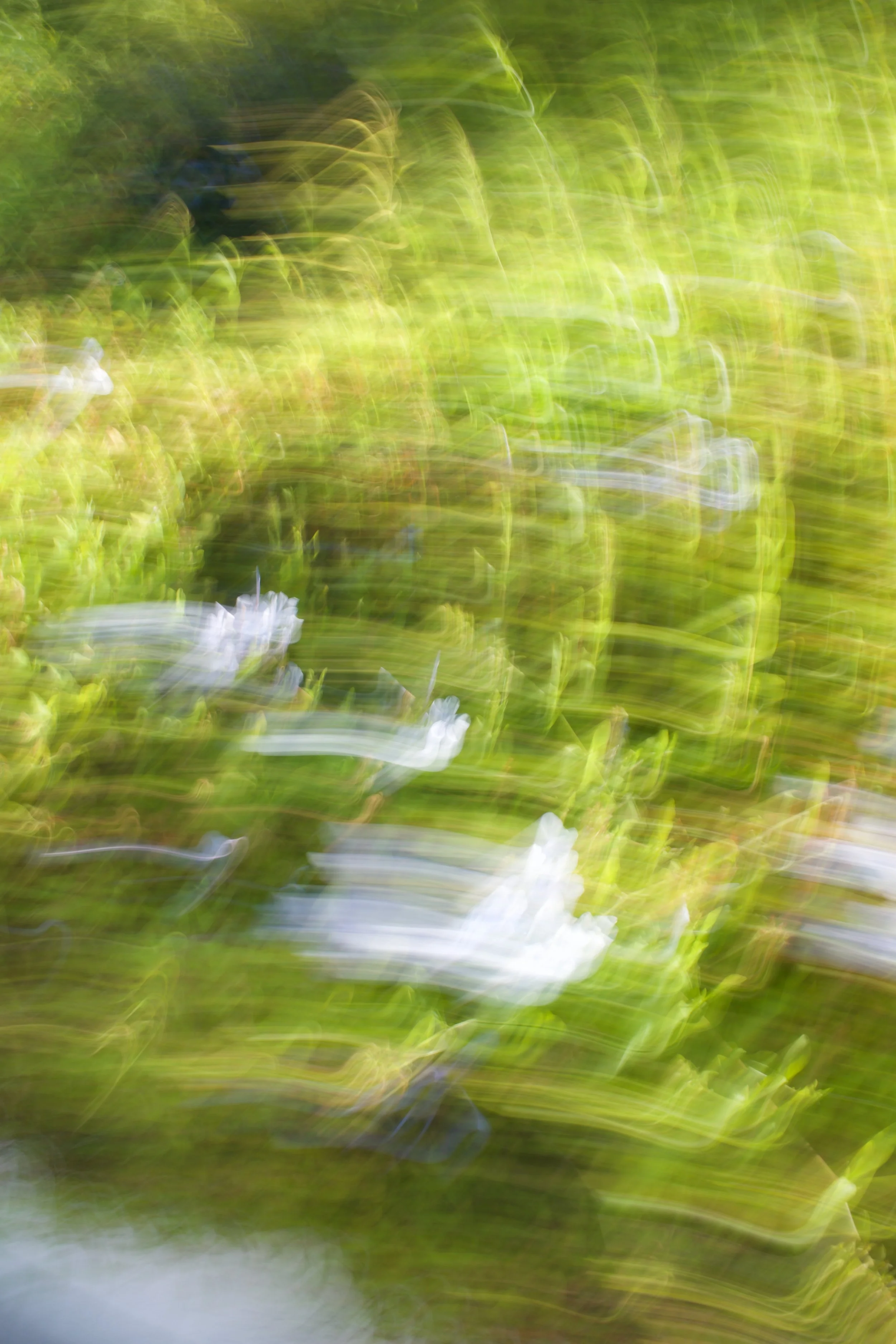  Movement 2023:364 (2023) C-print on wood panel, 60”x40” 