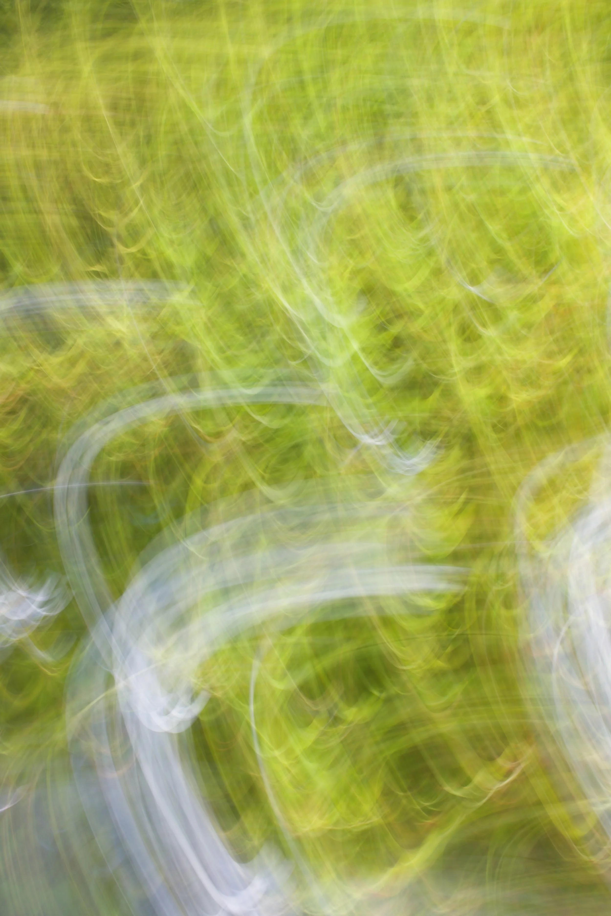  Movement 2023:365 (2023) C-print on wood panel, 60”x40” 