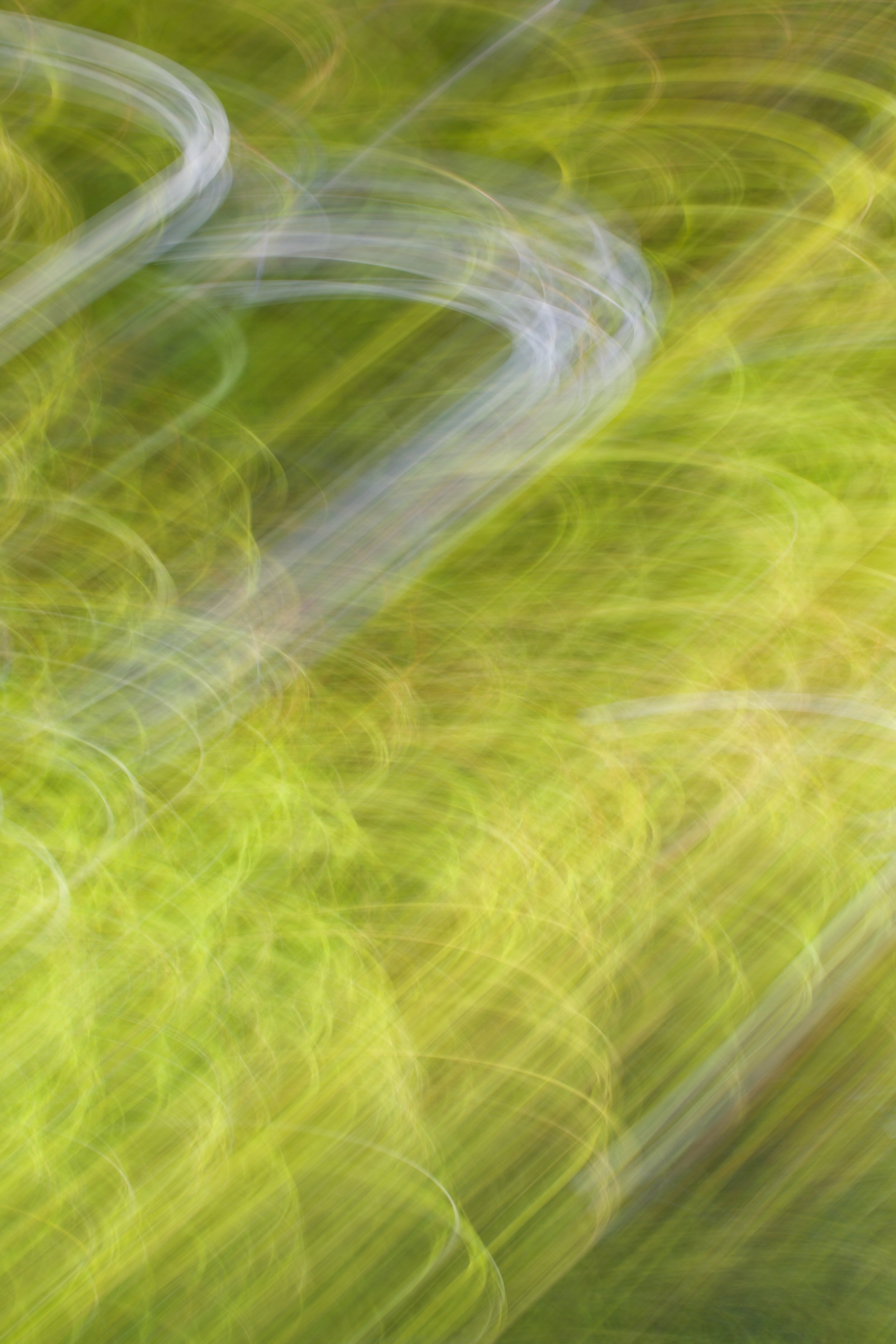  Movement 2023:366 (2023) C-print on wood panel, 60”x40” 