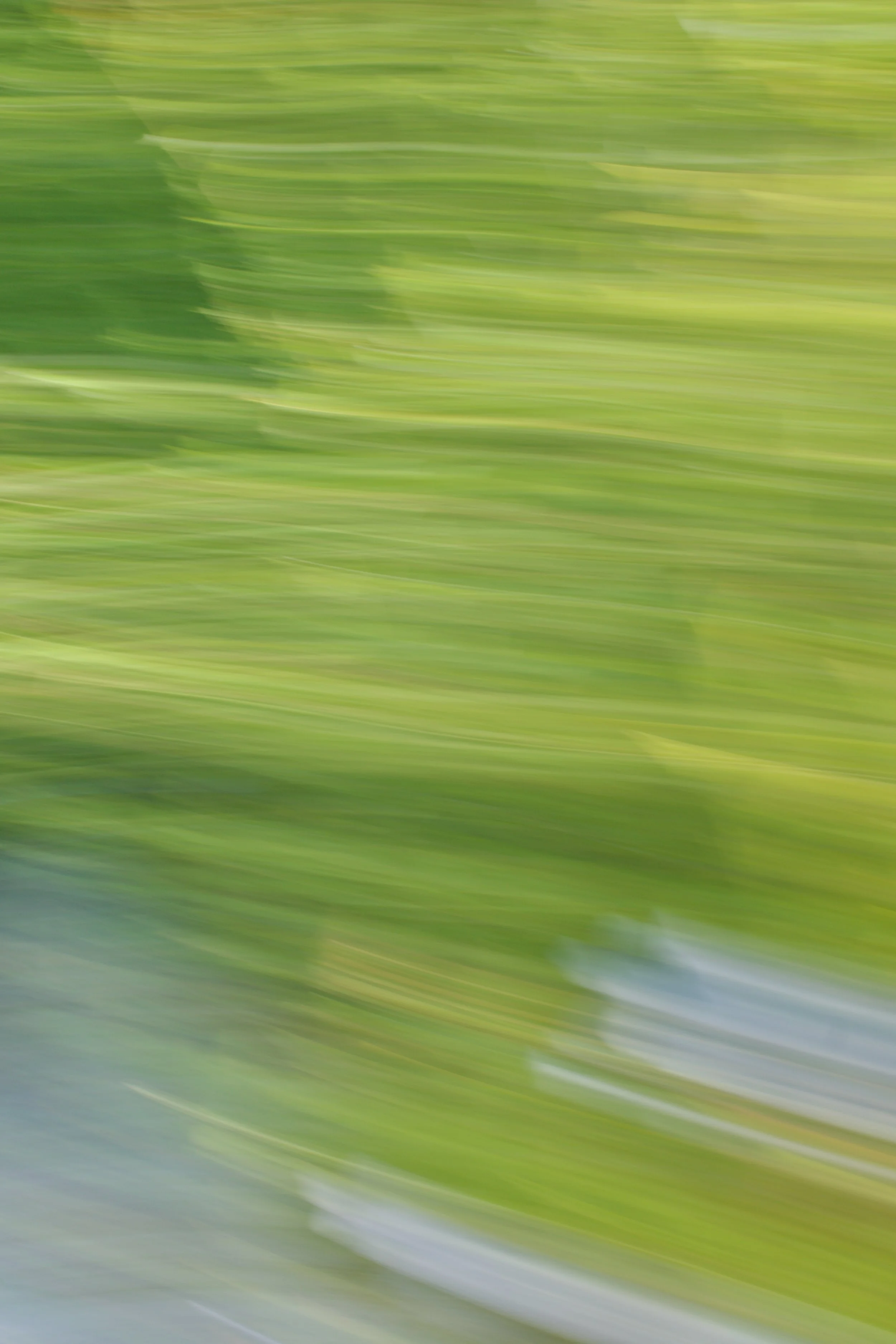  Movement 2023:367 (2023) C-print on wood panel, 60”x40” 