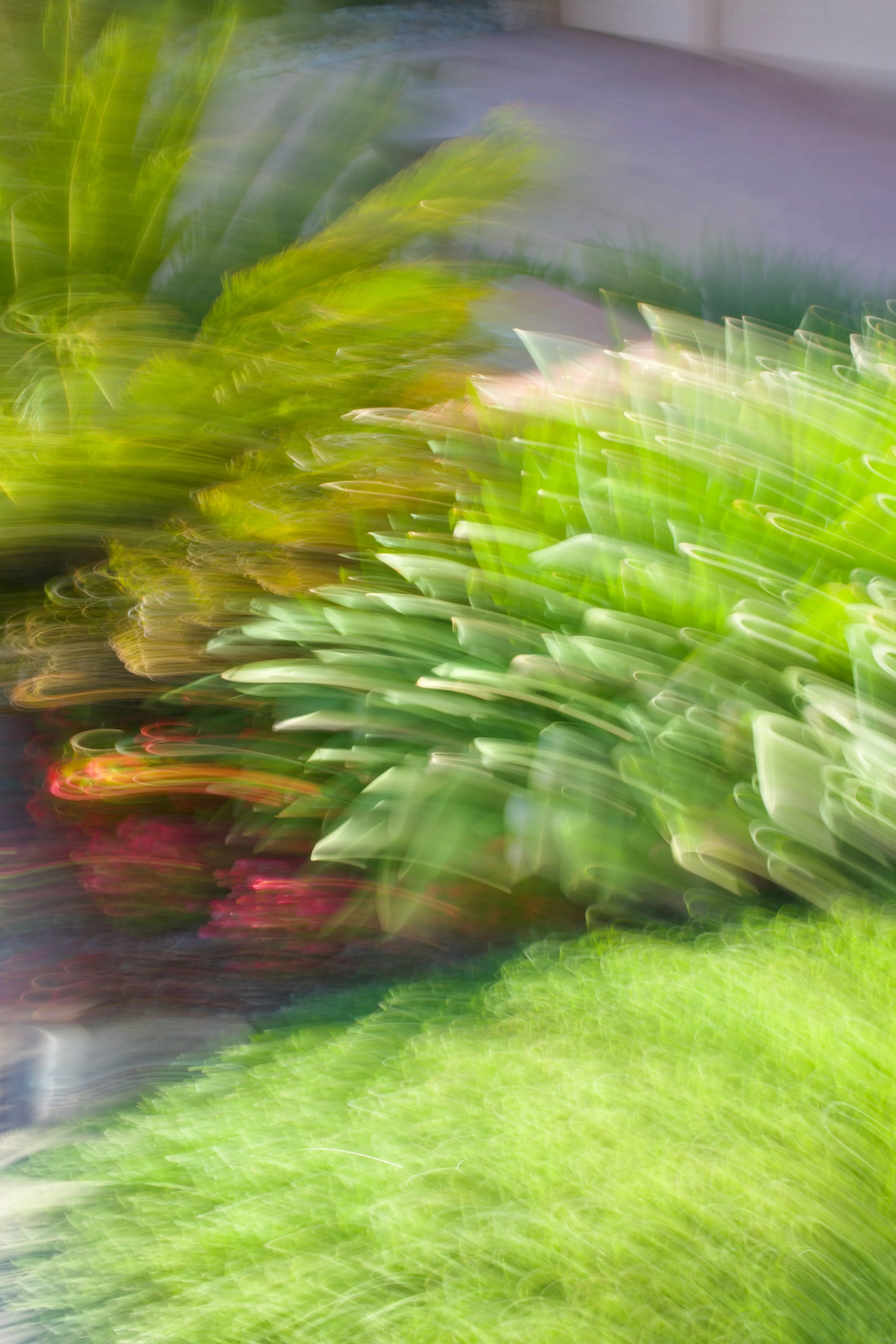  Movement 2023:370 (2023) C-print on wood panel, 60”x40” 