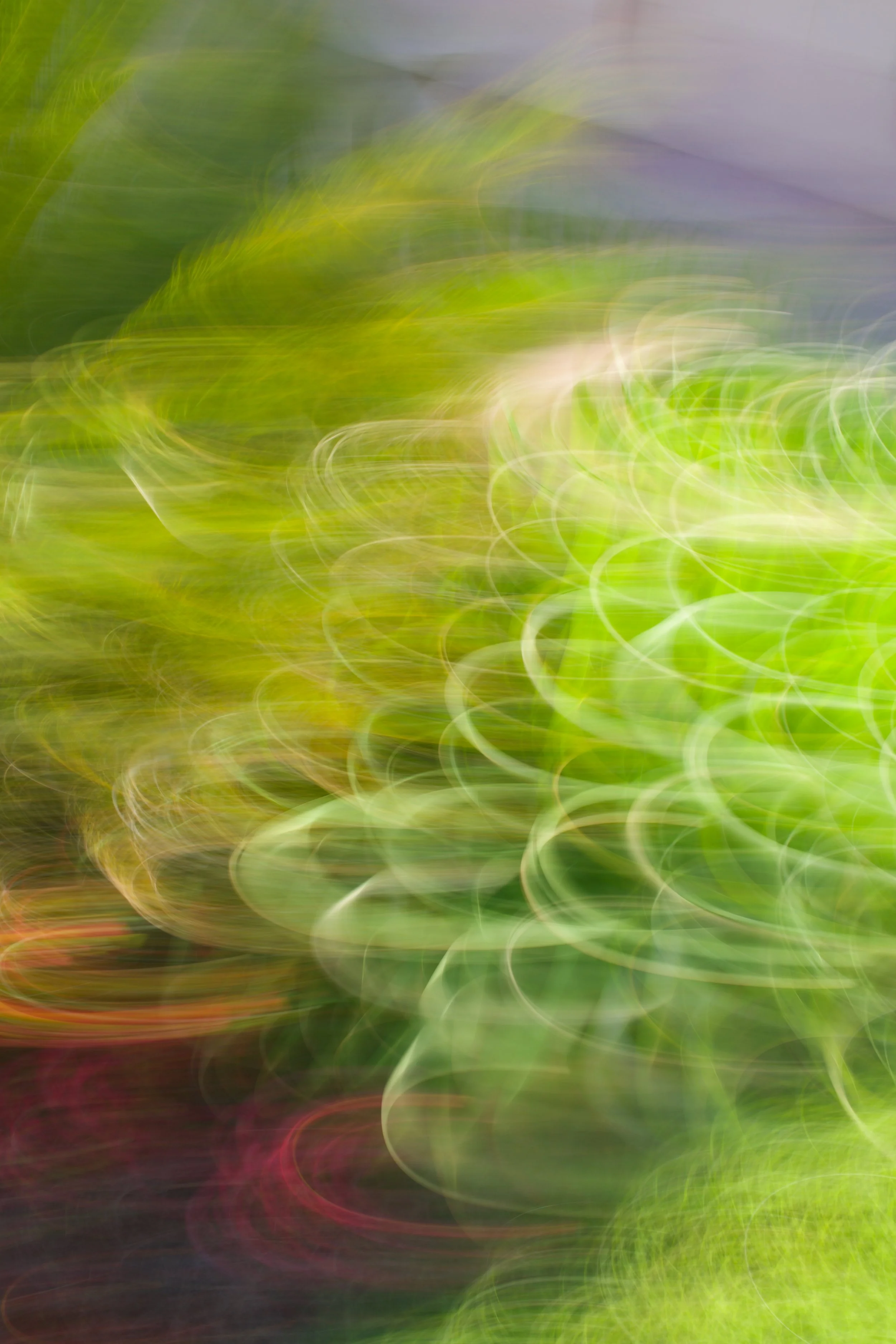  Movement 2023:371 (2023) C-print on wood panel, 60”x40” 