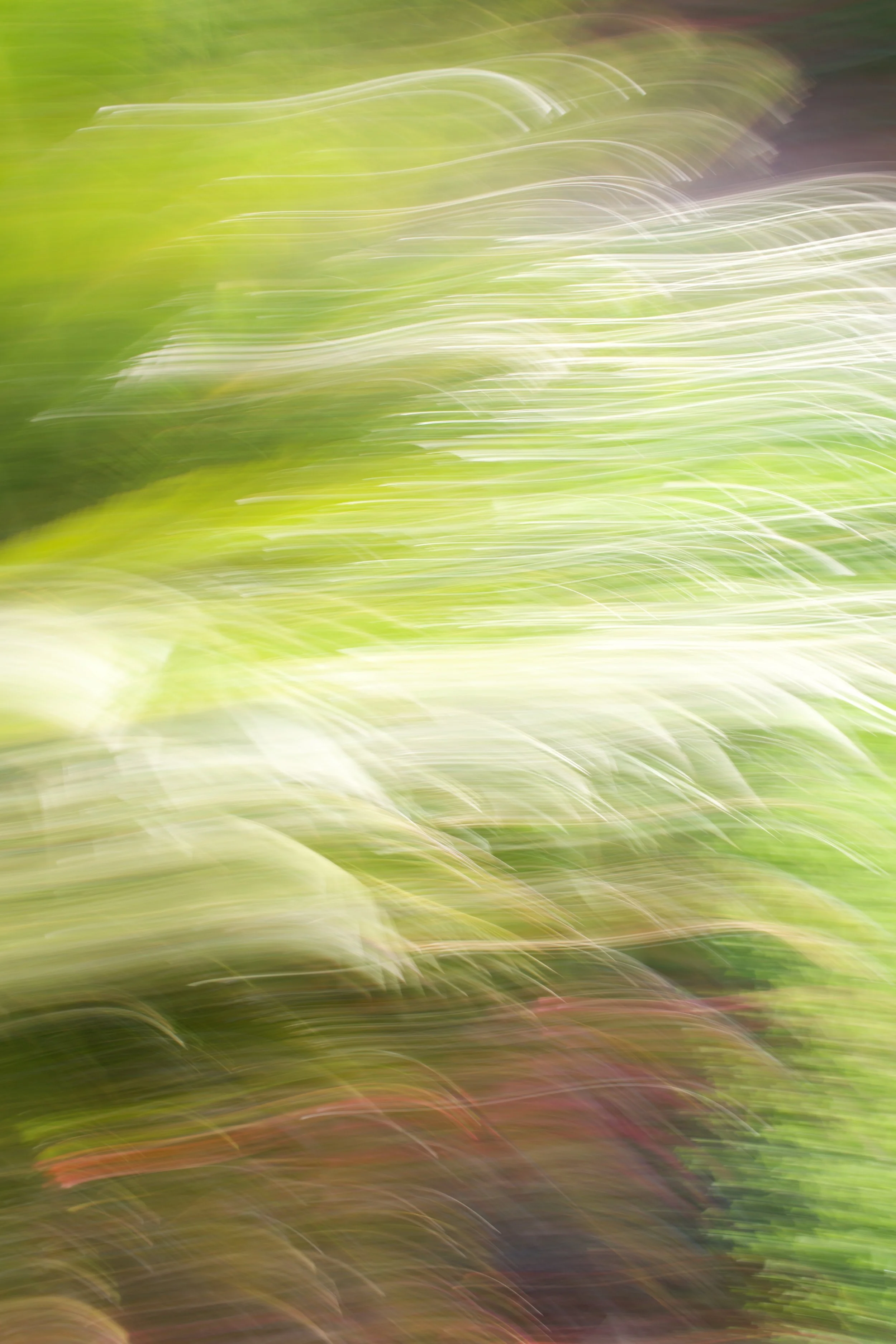  Movement 2023:372 (2023) C-print on wood panel, 60”x40” 