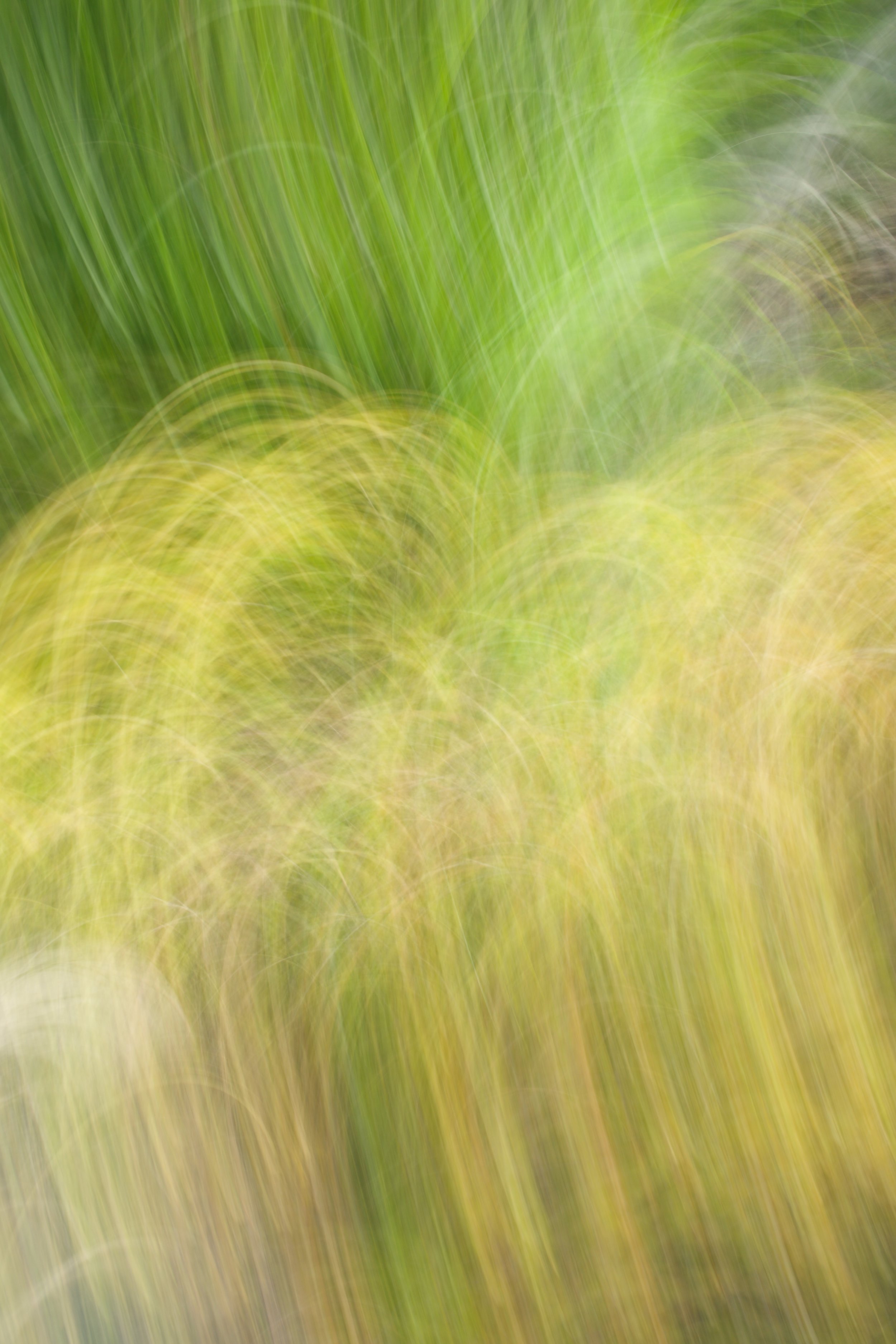  Movement 2023:375 (2023) C-print on wood panel, 60”x40” 