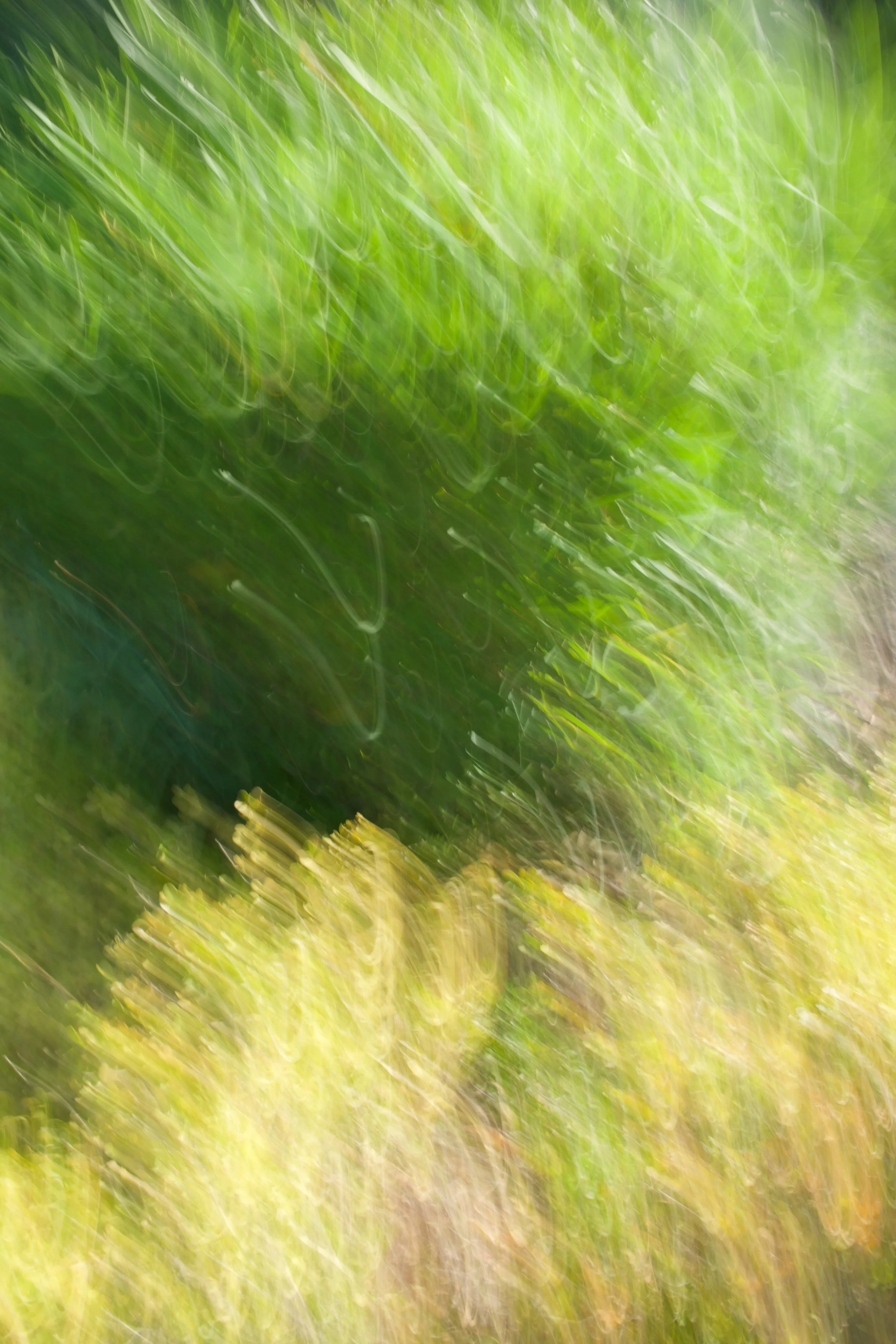  Movement 2023:376 (2023) C-print on wood panel, 60”x40” 