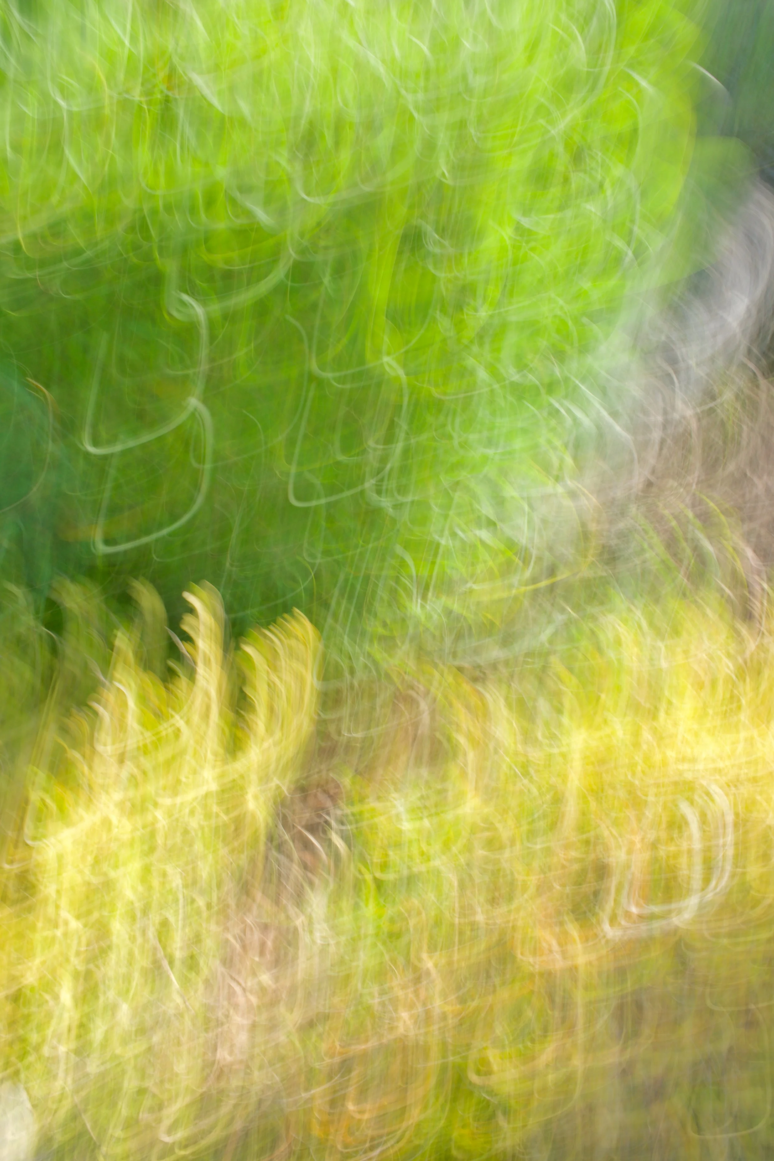  Movement 2023:377 (2023) C-print on wood panel, 60”x40” 