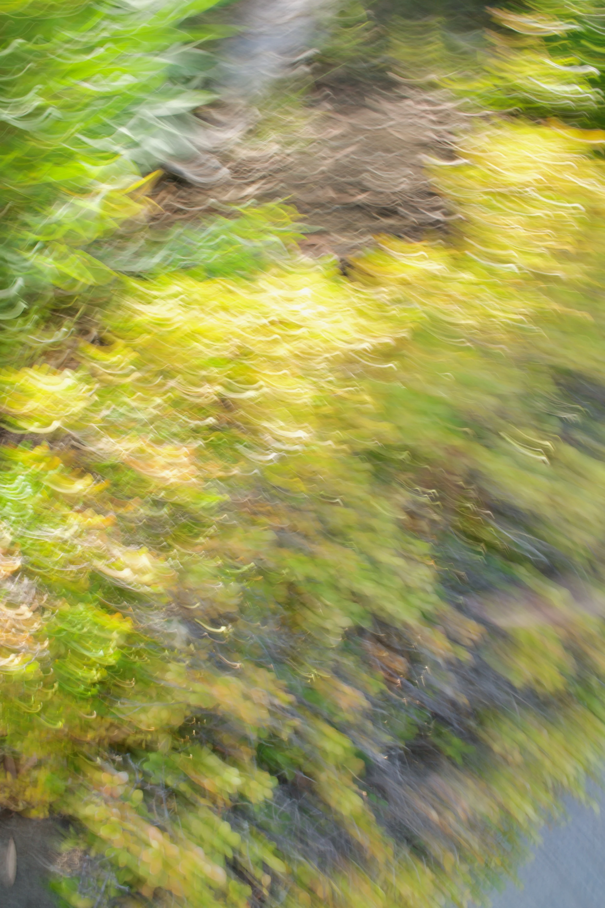  Movement 2023:378 (2023) C-print on wood panel, 60”x40” 