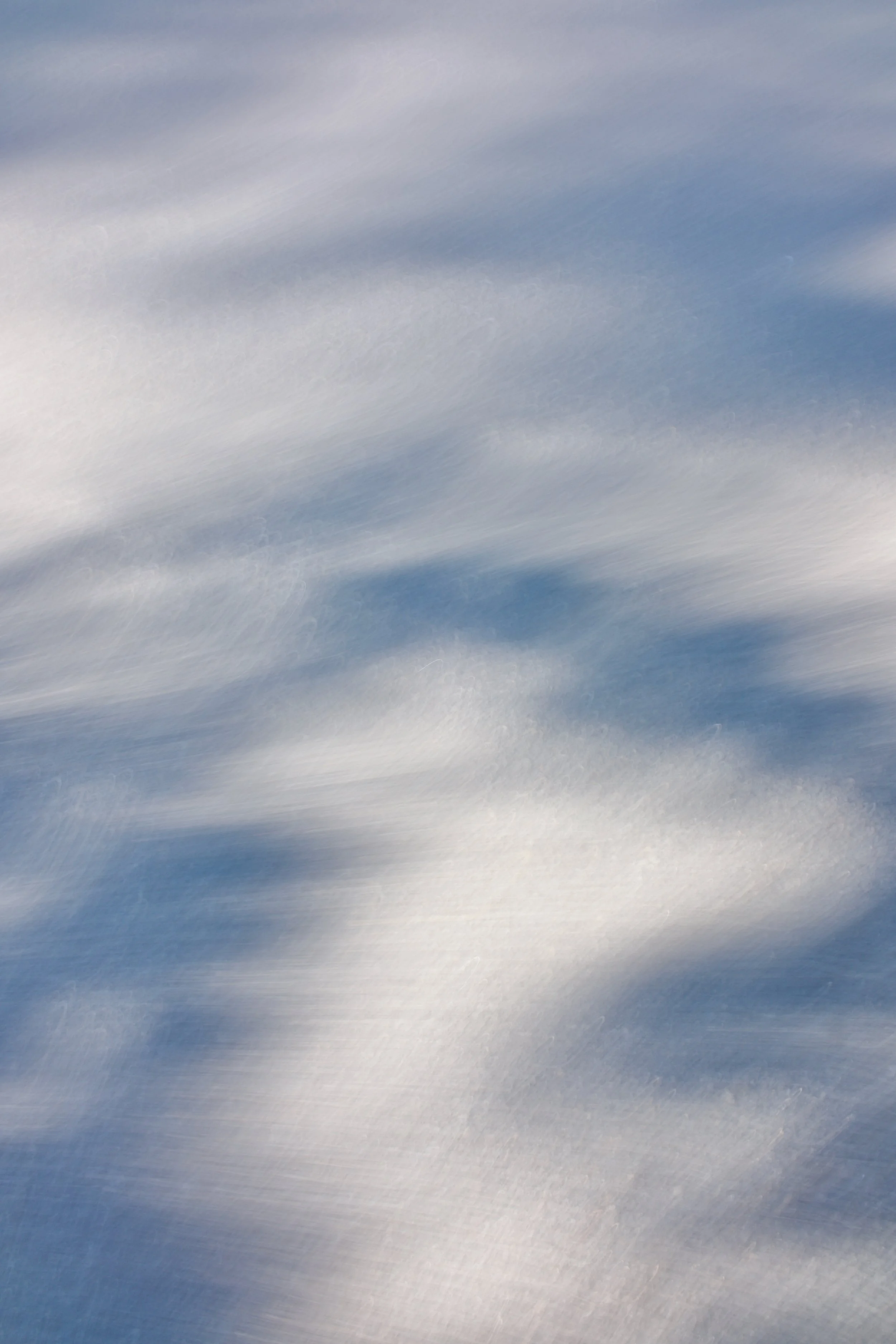  Movement 2023:381 (2023) C-print on wood panel, 60”x40” 