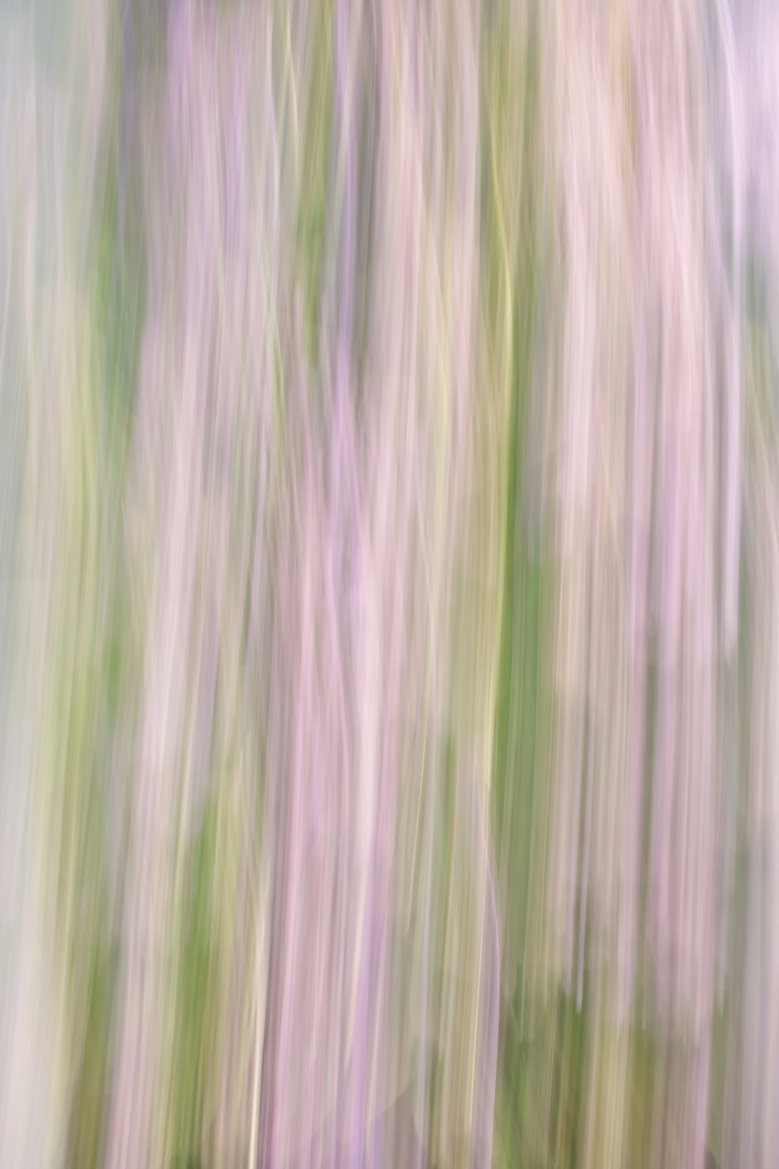  Movement 2023:383 (2023) C-print on wood panel, 60”x40” 
