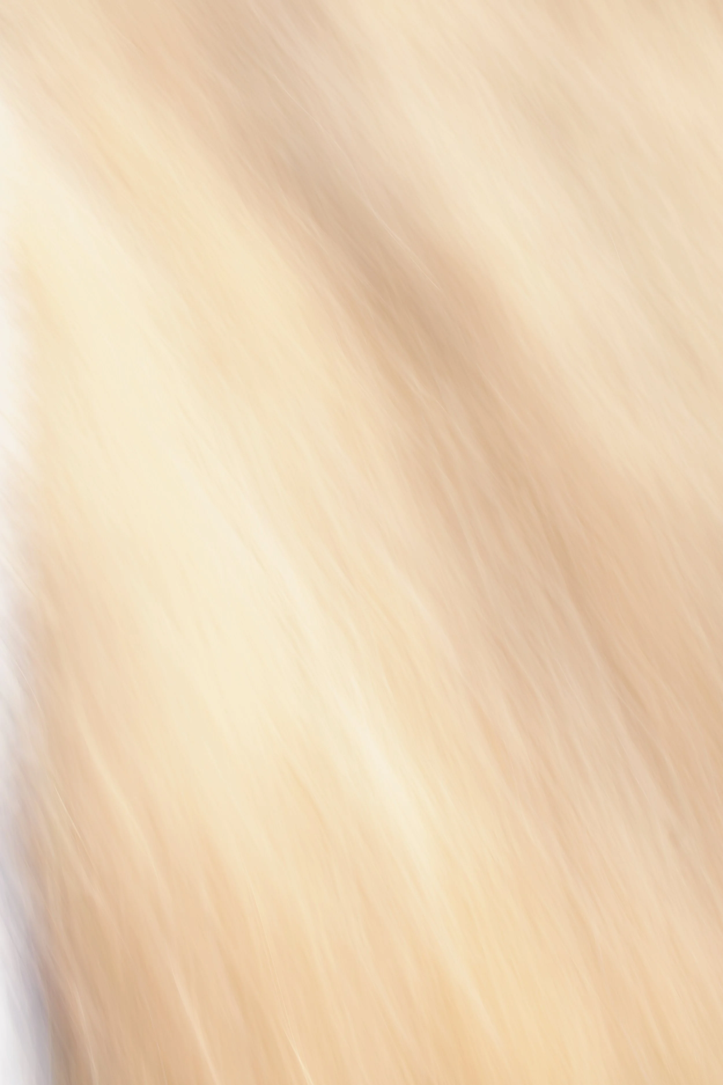  Movement 2023:384 (2023) C-print on wood panel, 60”x40” 