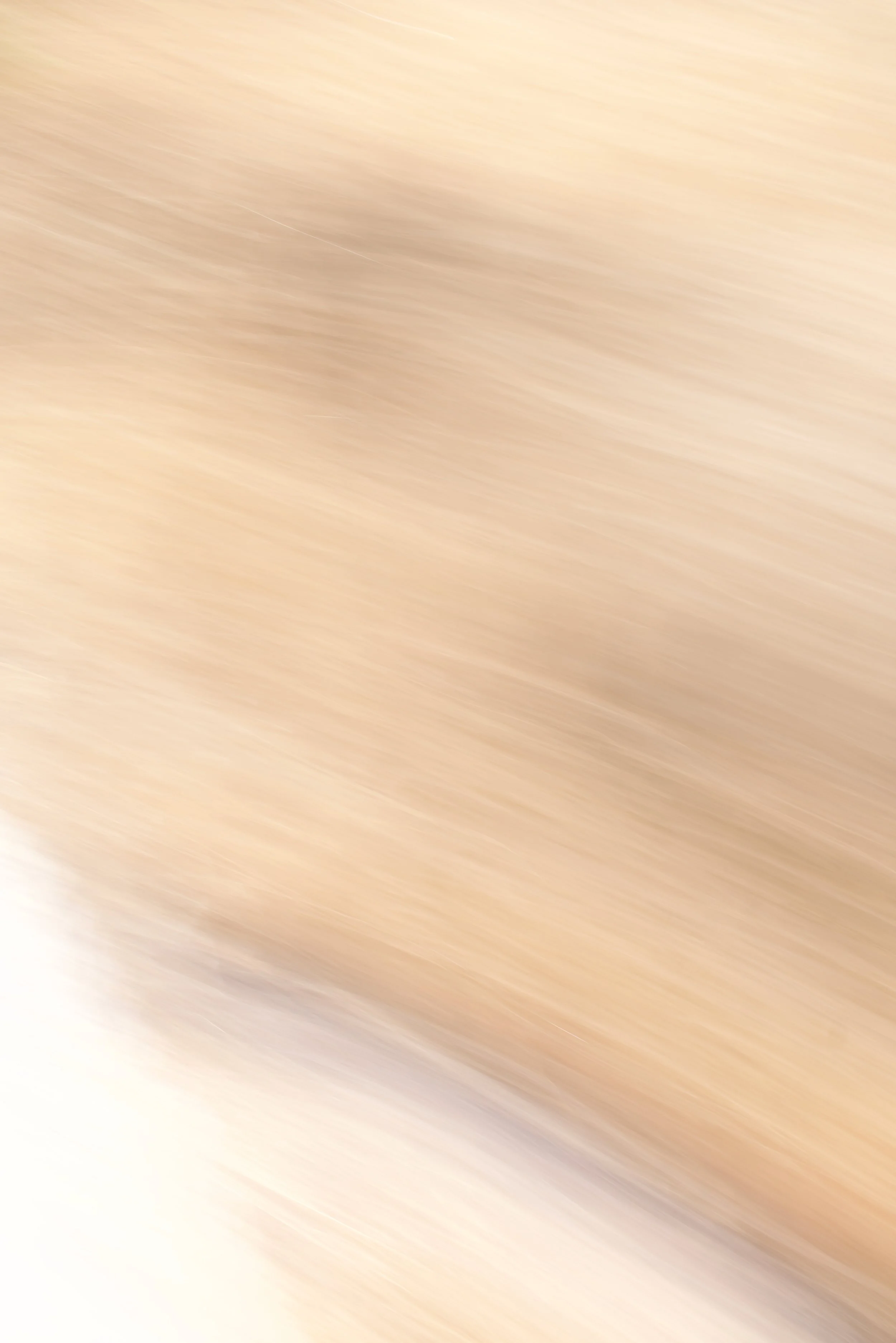  Movement 2023:385 (2023) C-print on wood panel, 60”x40” 