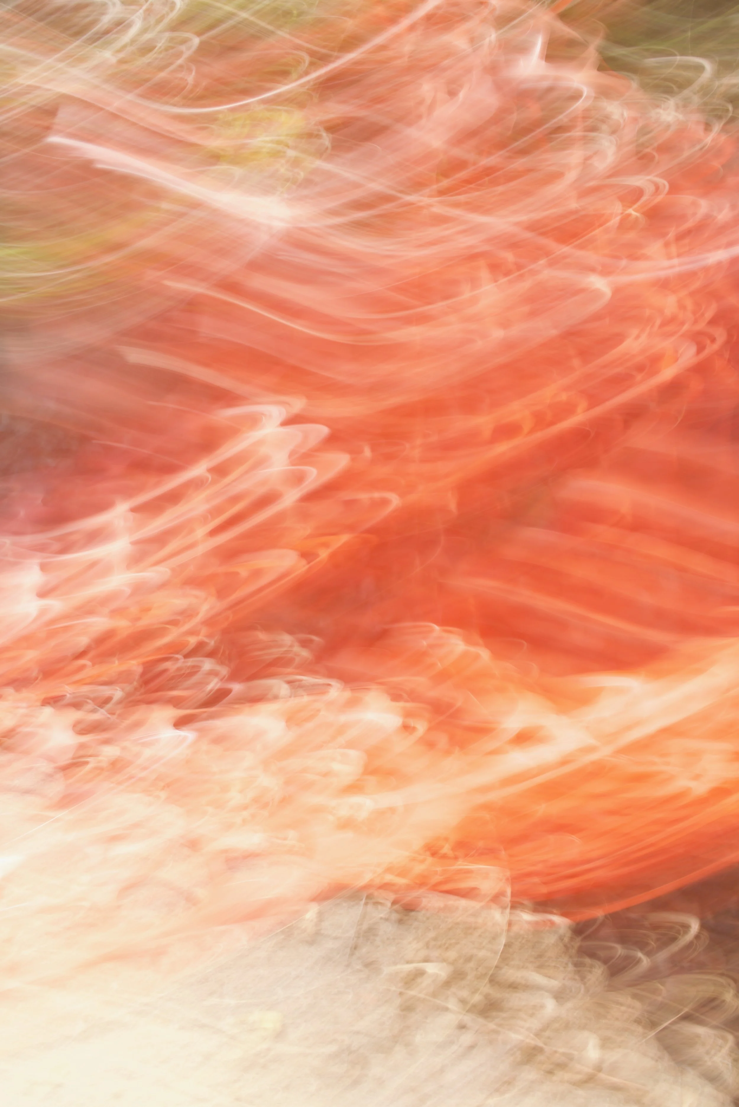  Movement 2023:386 (2023) C-print on wood panel, 60”x40” 