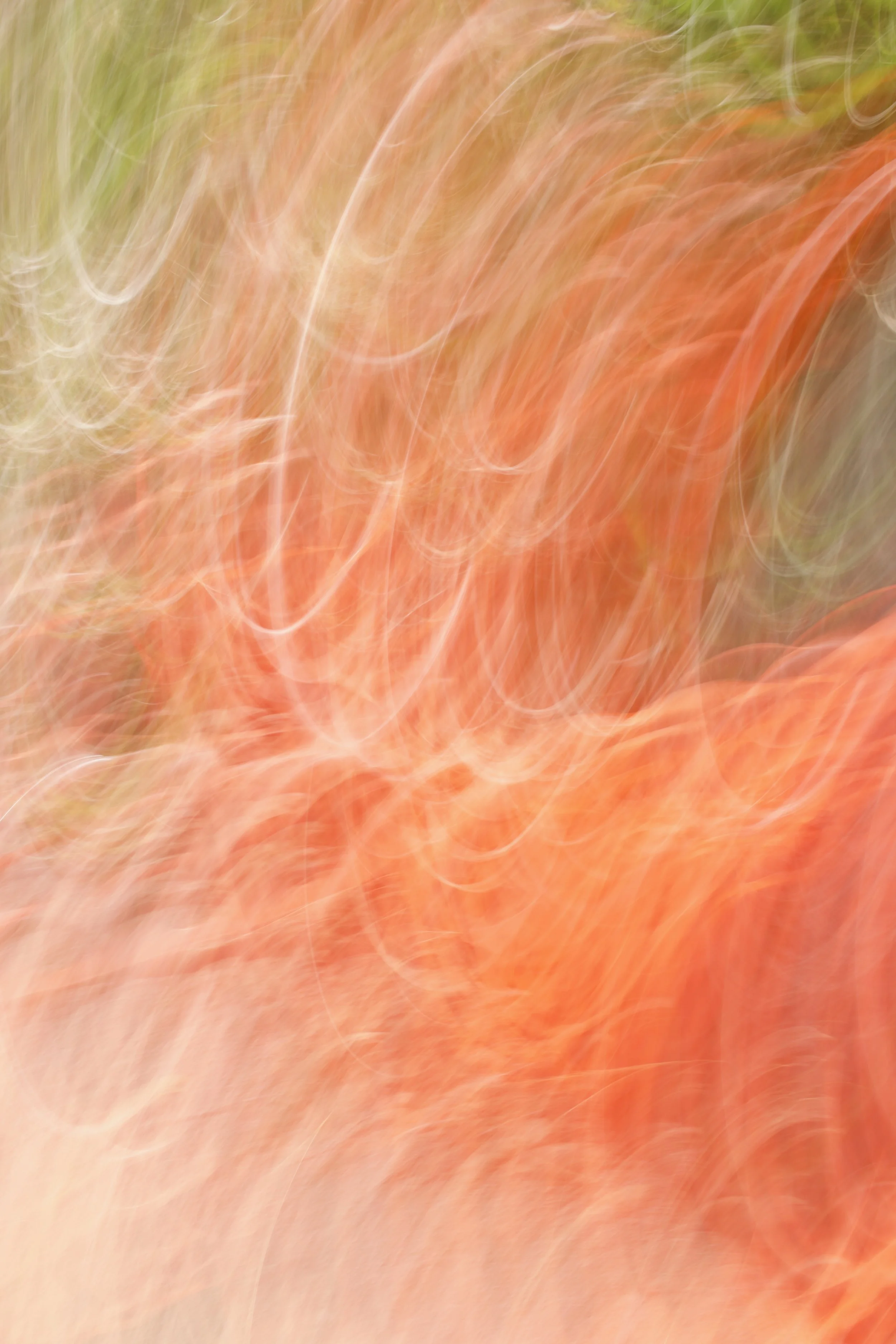  Movement 2023:387 (2023) C-print on wood panel, 60”x40” 