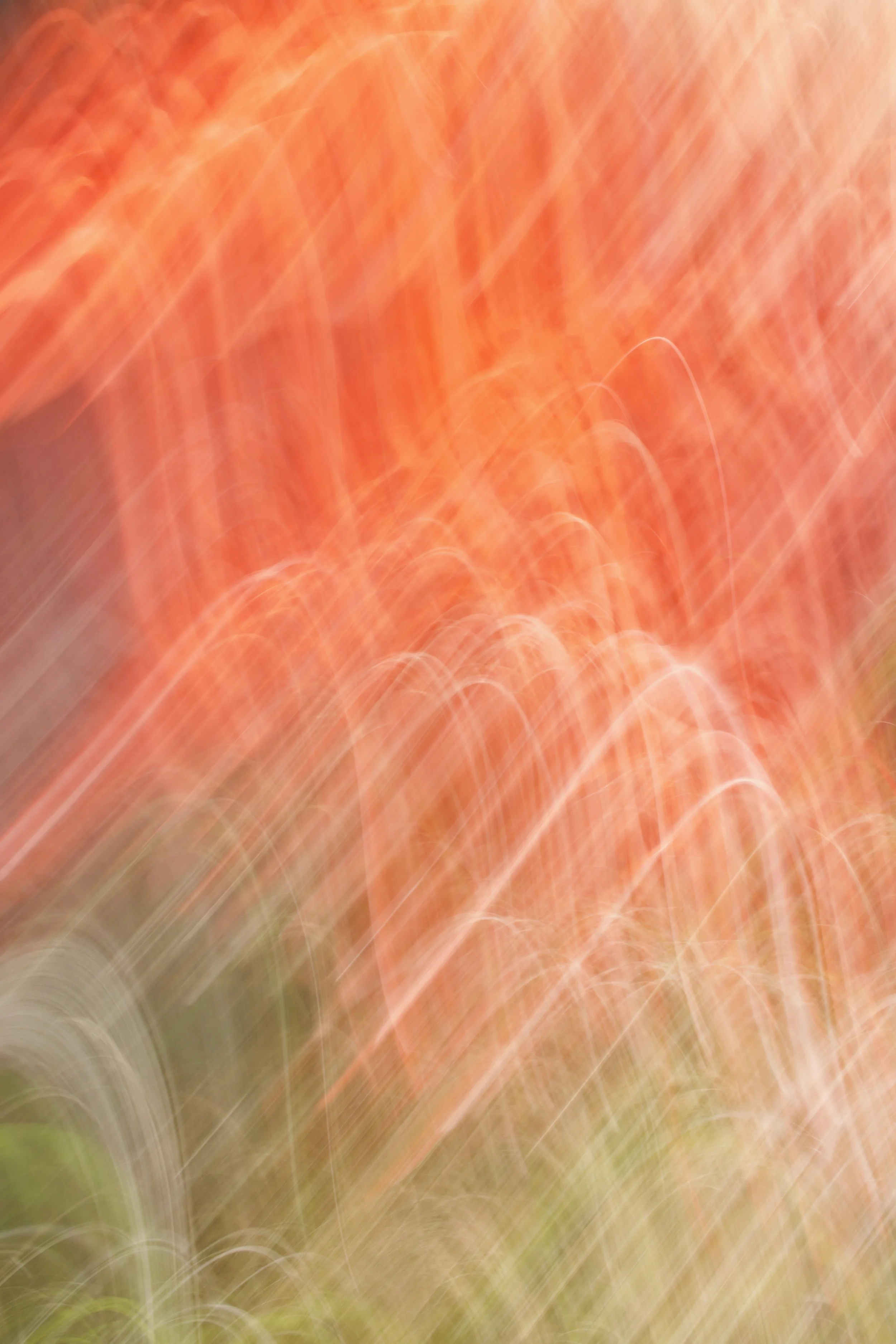  Movement 2023:389 (2023) C-print on wood panel, 60”x40” 