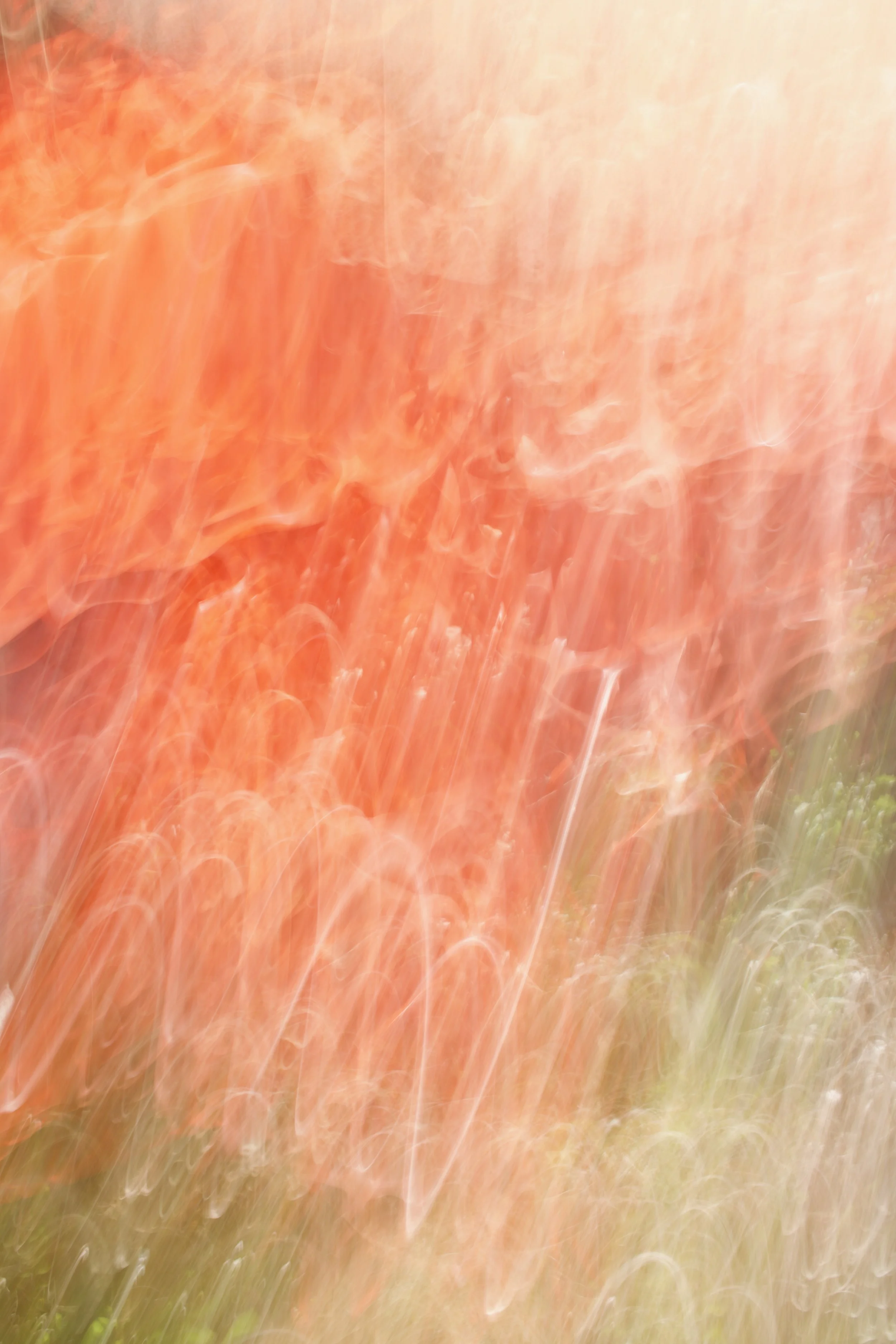  Movement 2023:390 (2023) C-print on wood panel, 60”x40” 