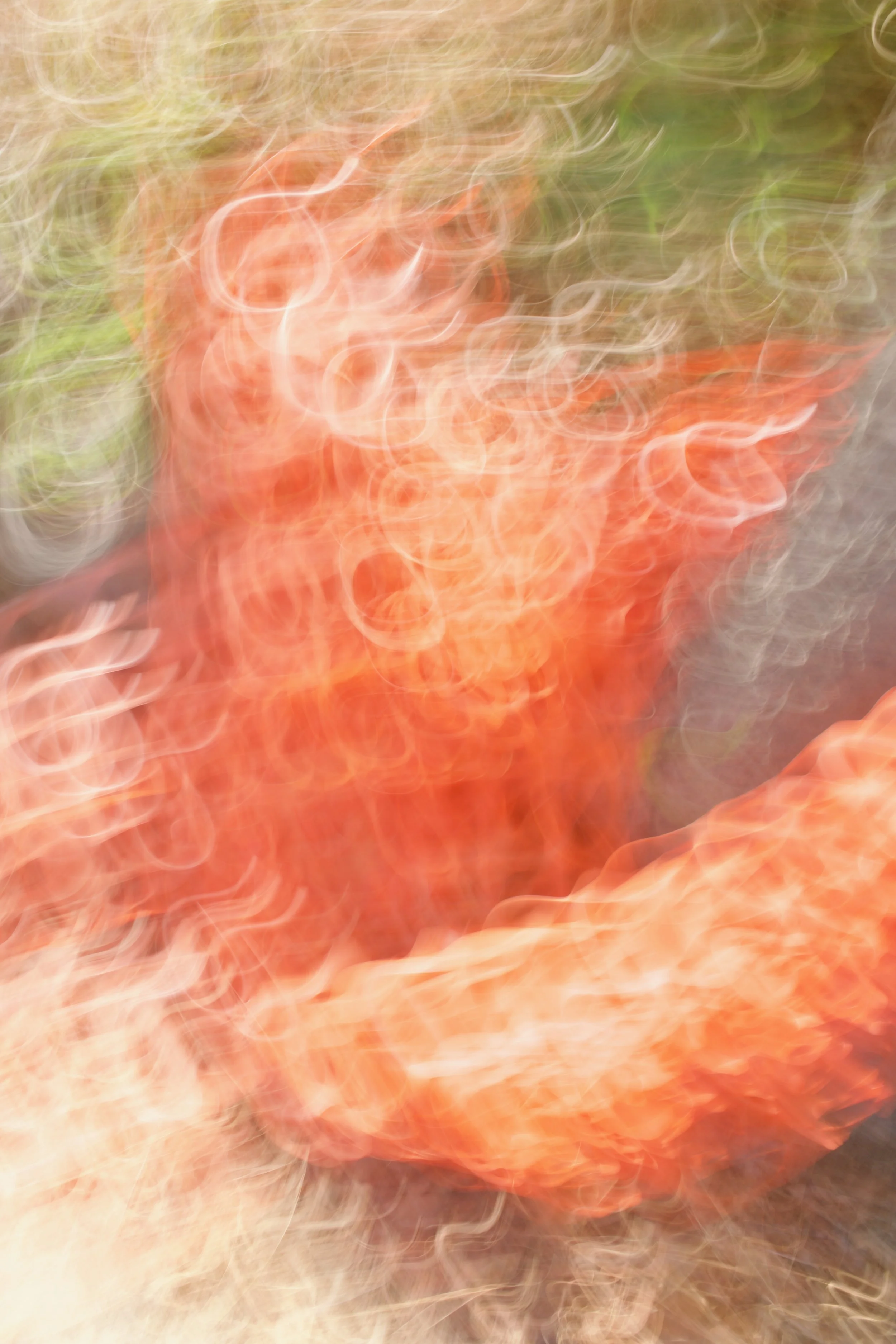  Movement 2023:393 (2023) C-print on wood panel, 60”x40” 