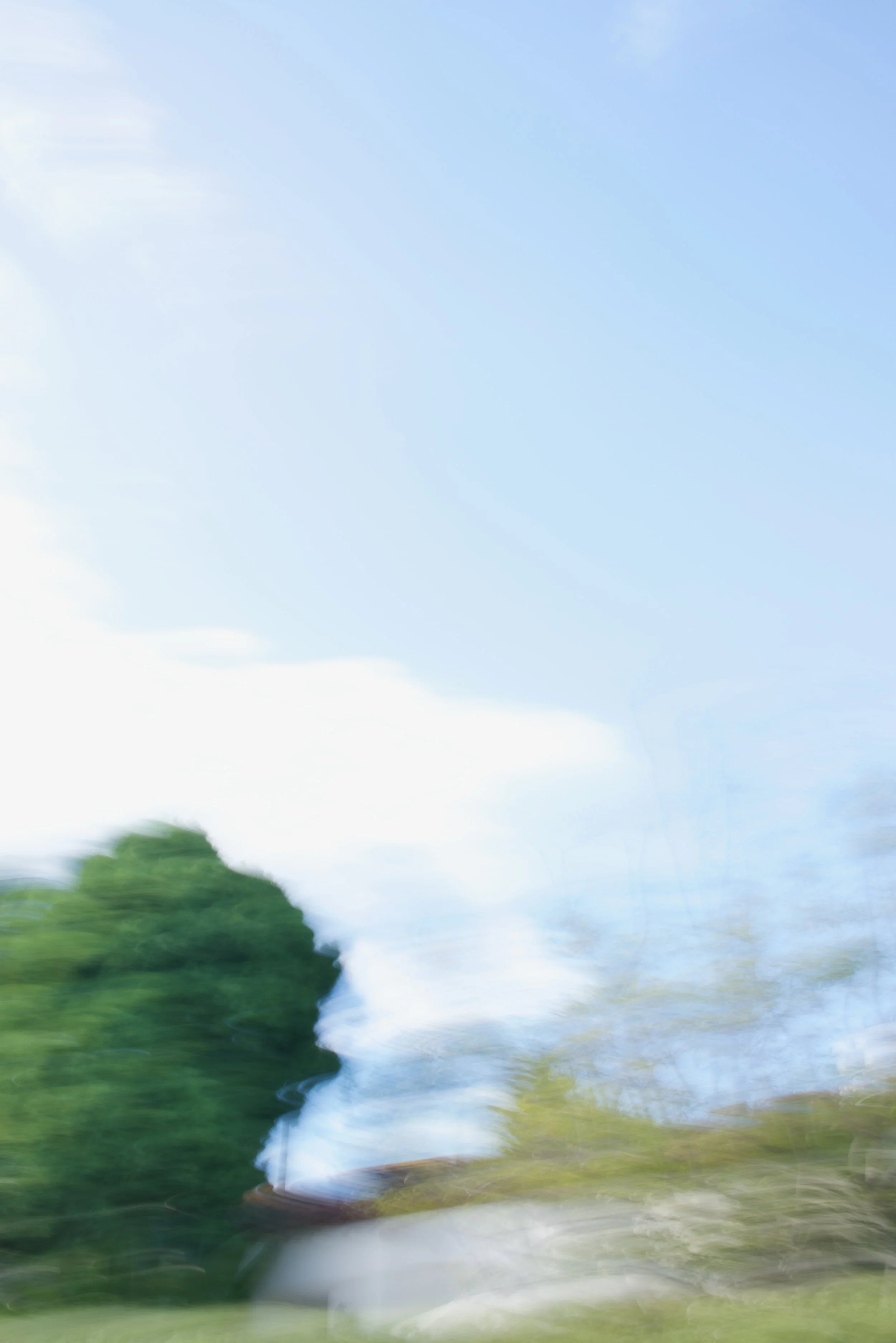  Movement 2023:394 (2023) C-print on wood panel, 60”x40” 