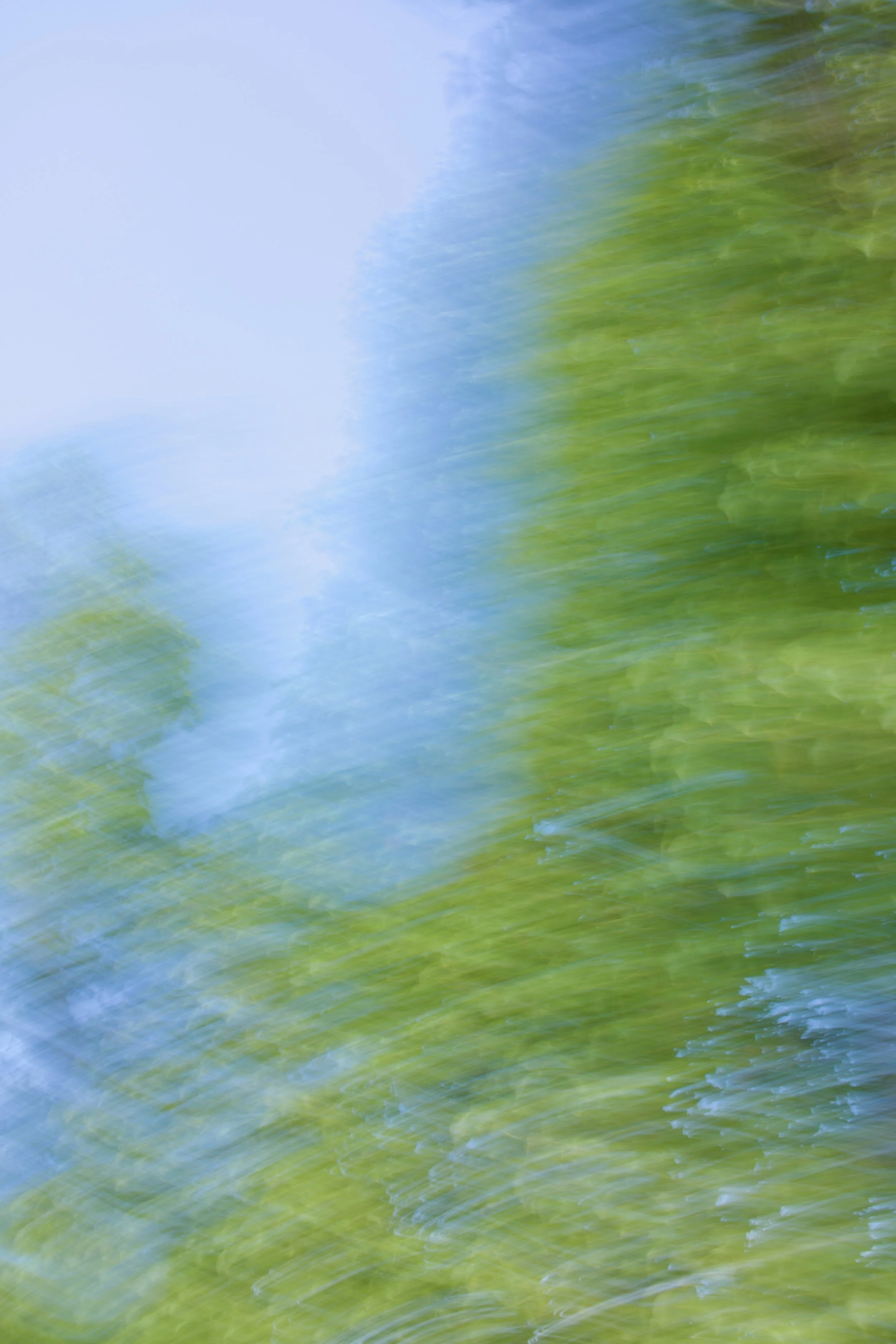  Movement 2023:396 (2023) C-print on wood panel, 60”x40” 