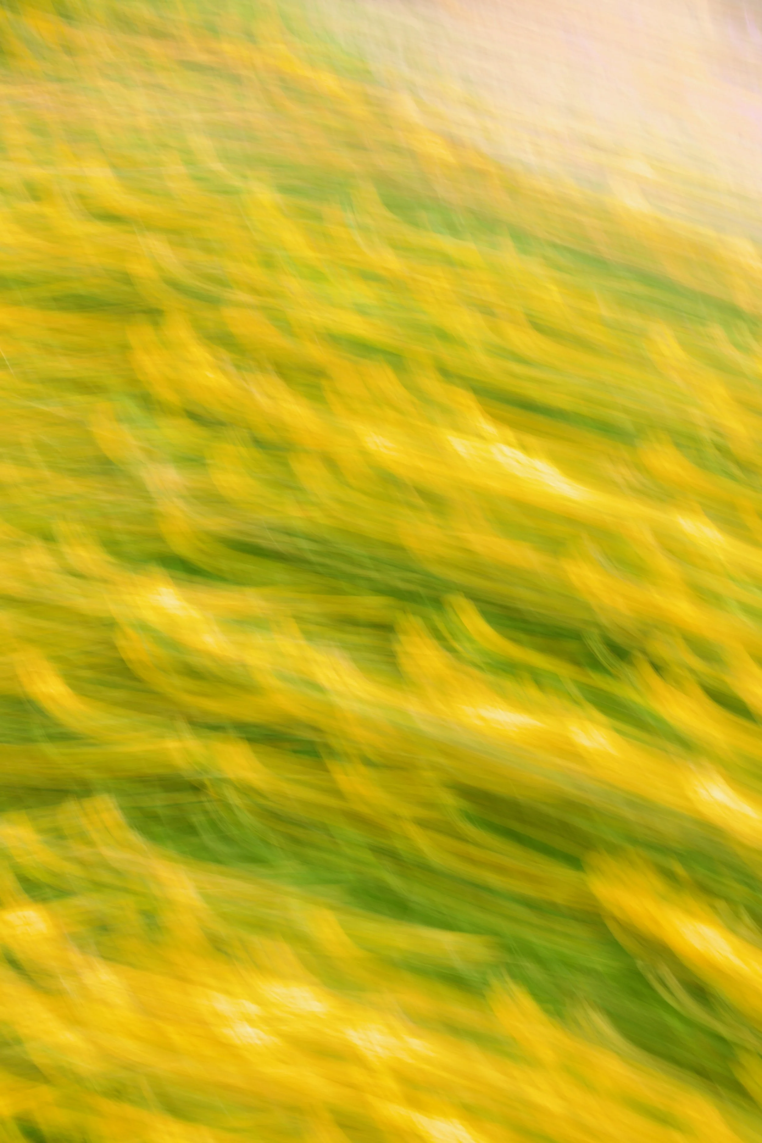  Movement 2023:398 (2023) C-print on wood panel, 60”x40” 