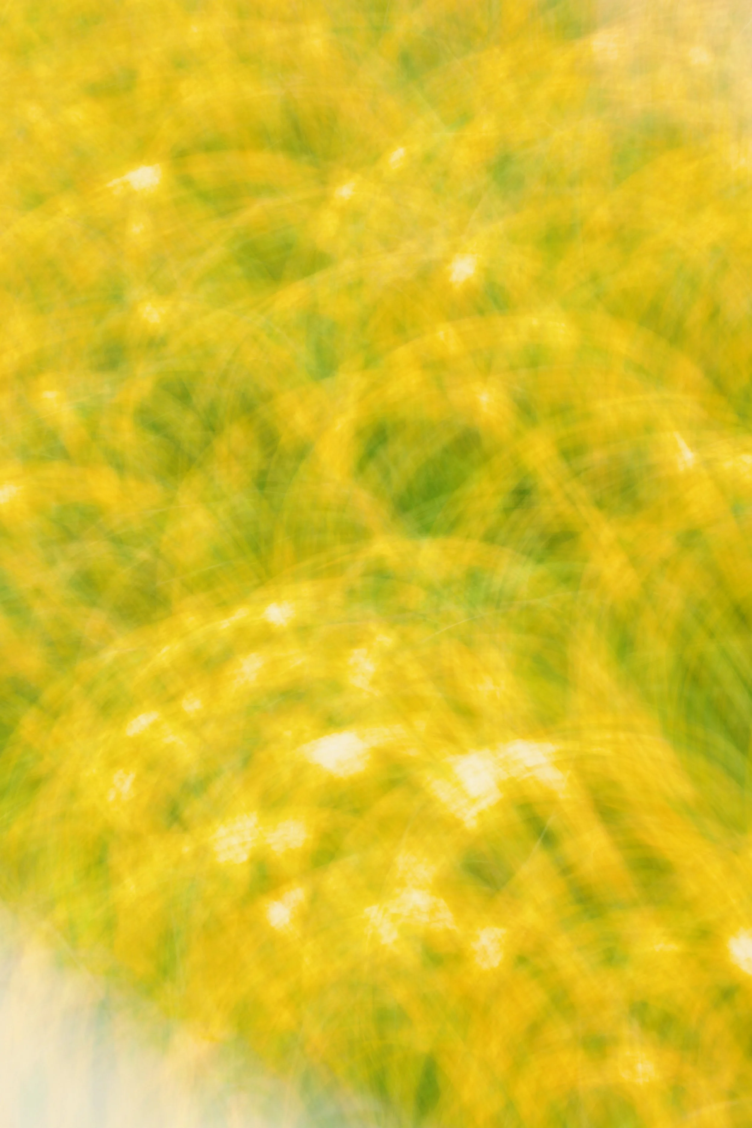  Movement 2023:399 (2023) C-print on wood panel, 60”x40” 