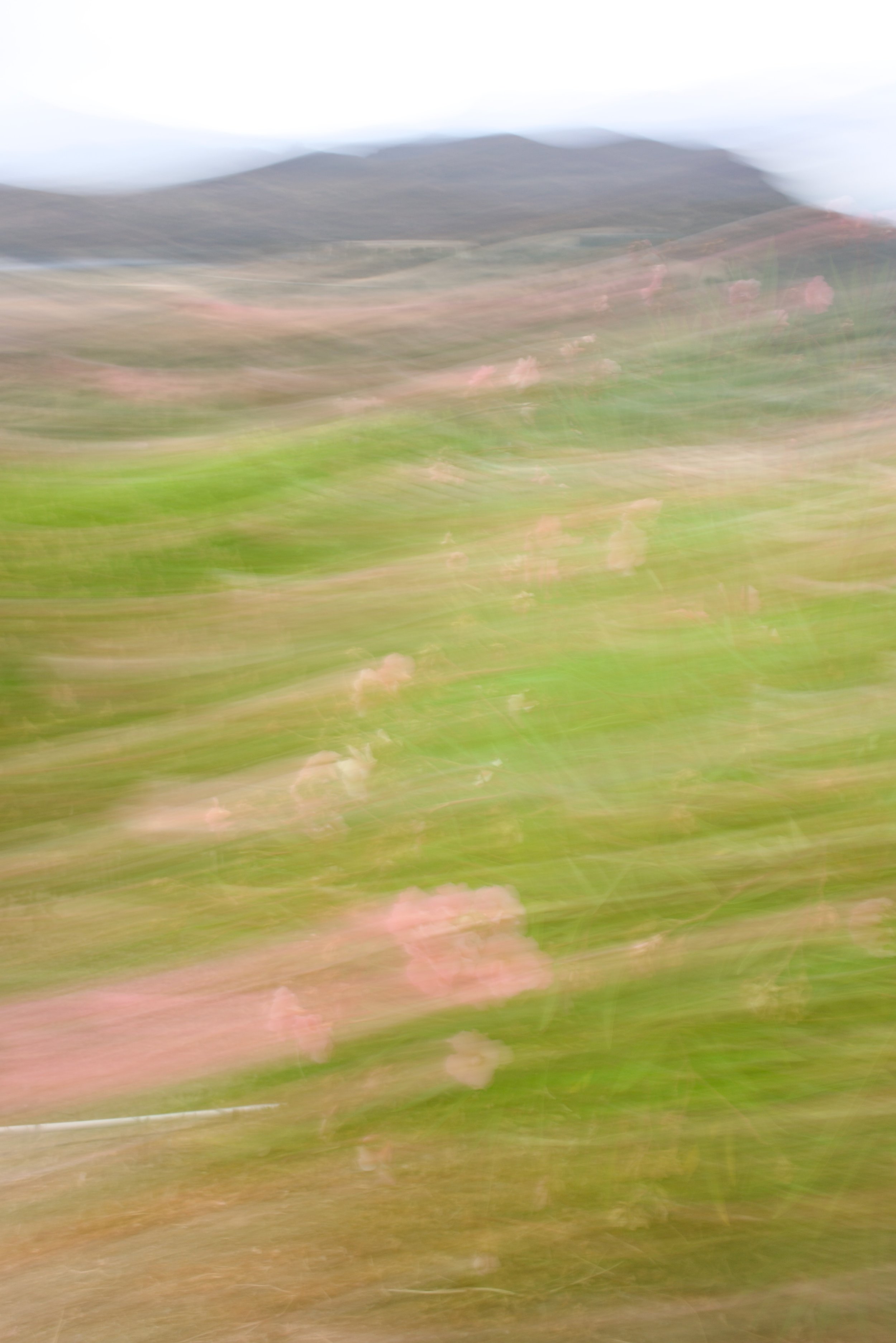  Movement 2023:401 (2023) C-print on wood panel, 60”x40” 