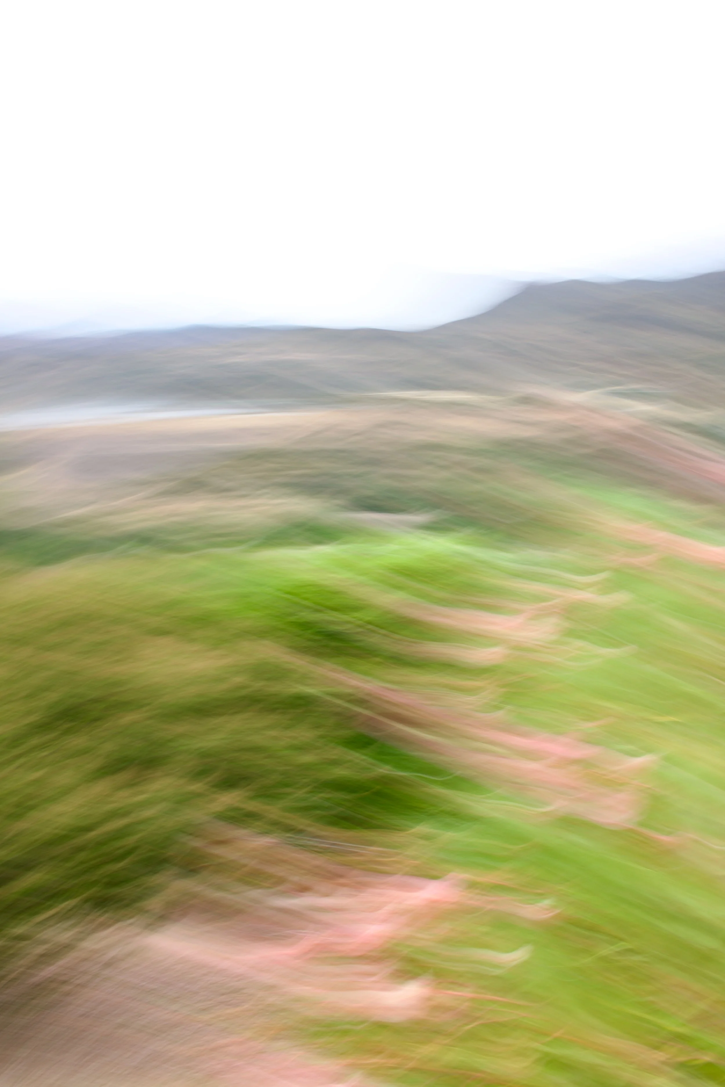  Movement 2023:402 (2023) C-print on wood panel, 60”x40” 