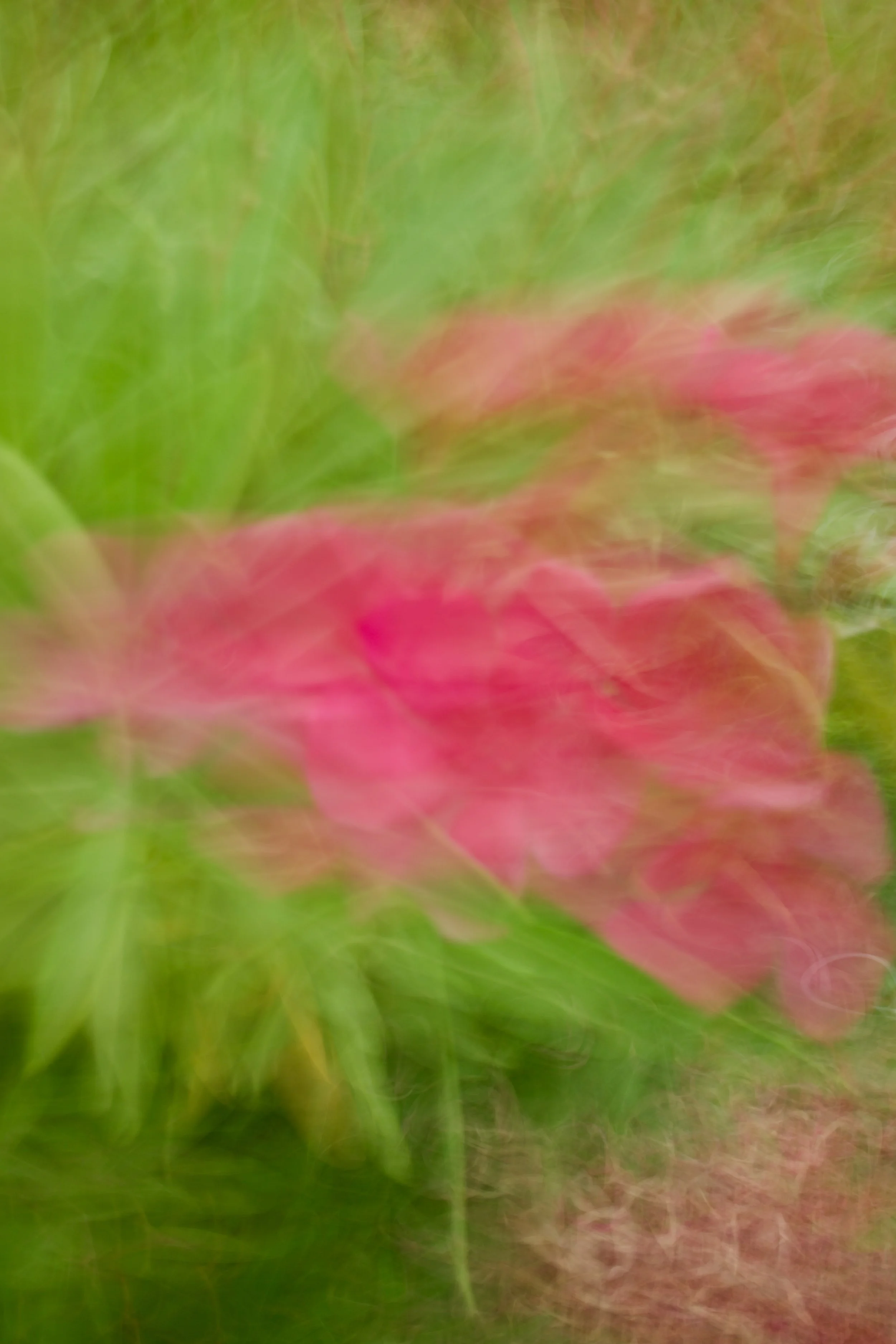  Movement 2023:403 (2023) C-print on wood panel, 60”x40” 