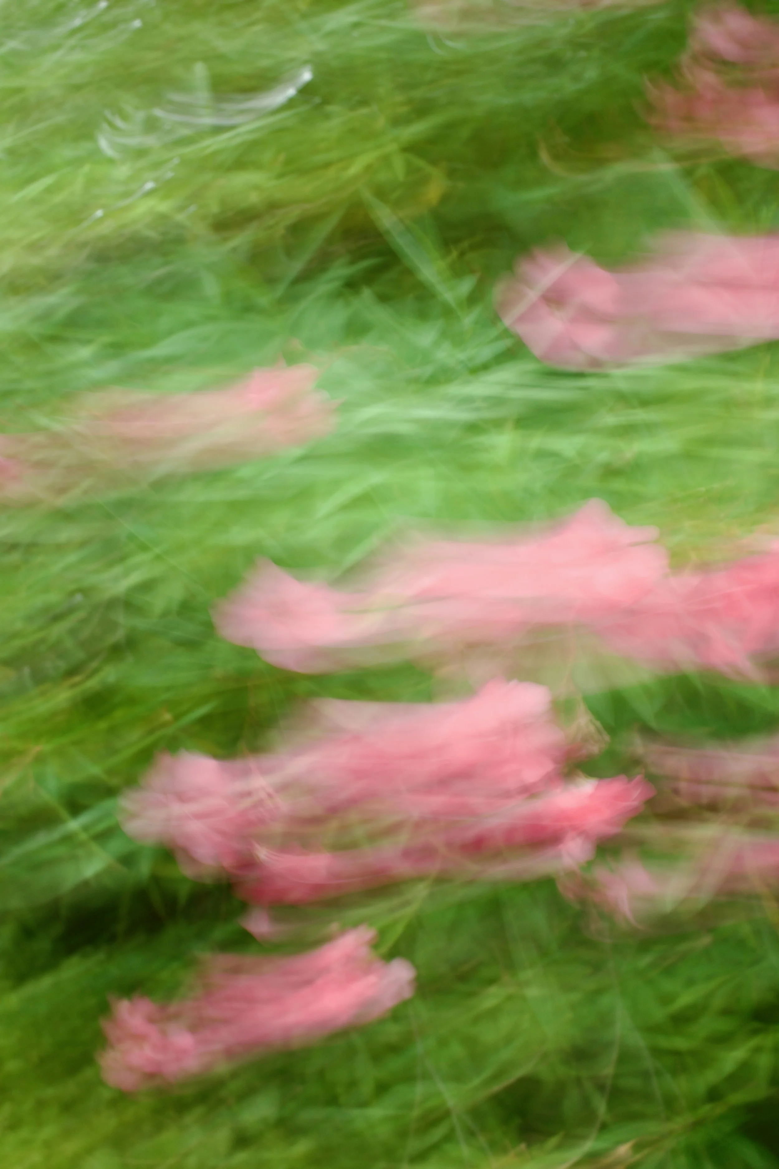  Movement 2023:405 (2023) C-print on wood panel, 60”x40” 