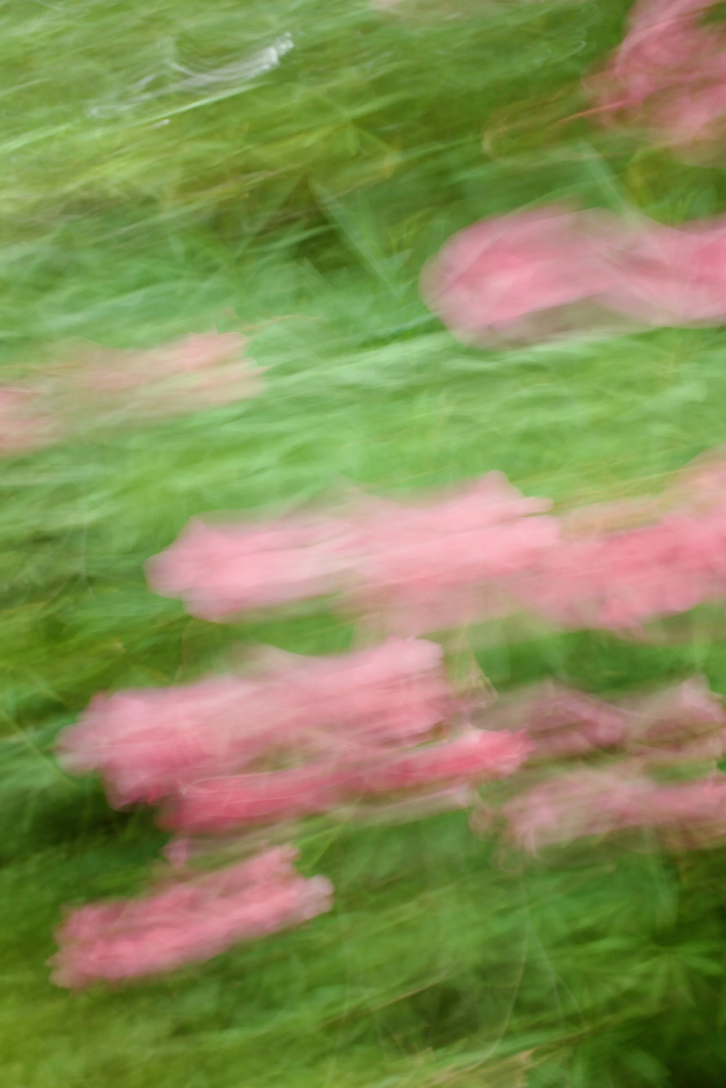  Movement 2023:407 (2023) C-print on wood panel, 60”x40” 