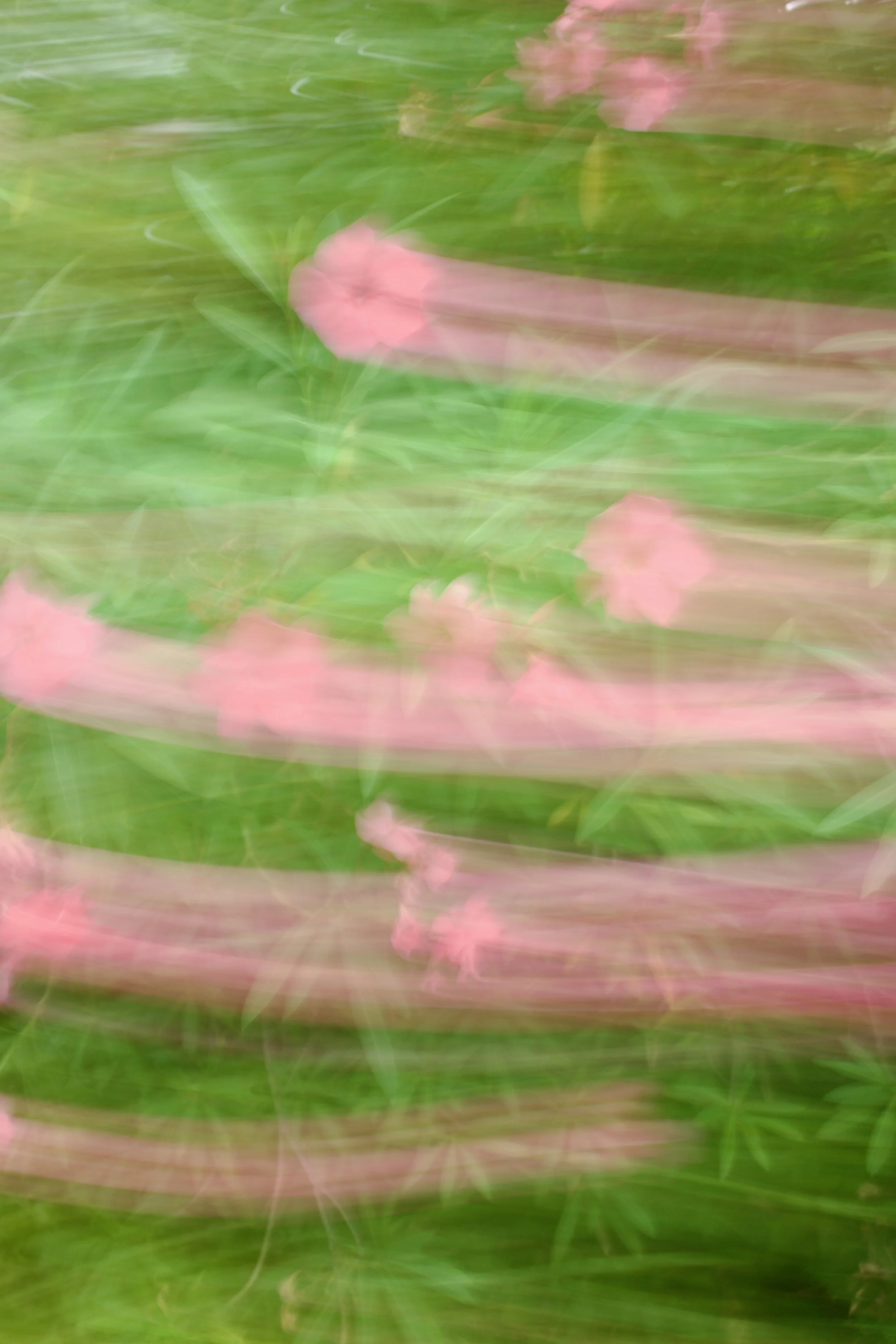  Movement 2023:408 (2023) C-print on wood panel, 60”x40” 