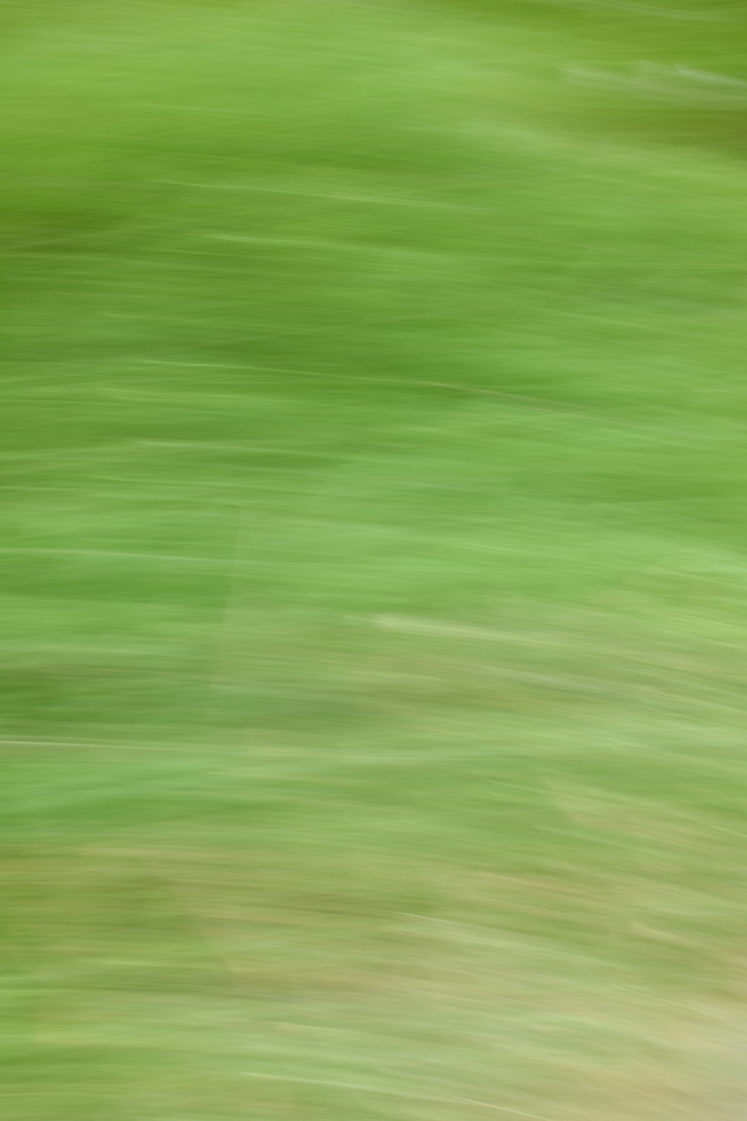  Movement 2023:409 (2023) C-print on wood panel, 60”x40” 