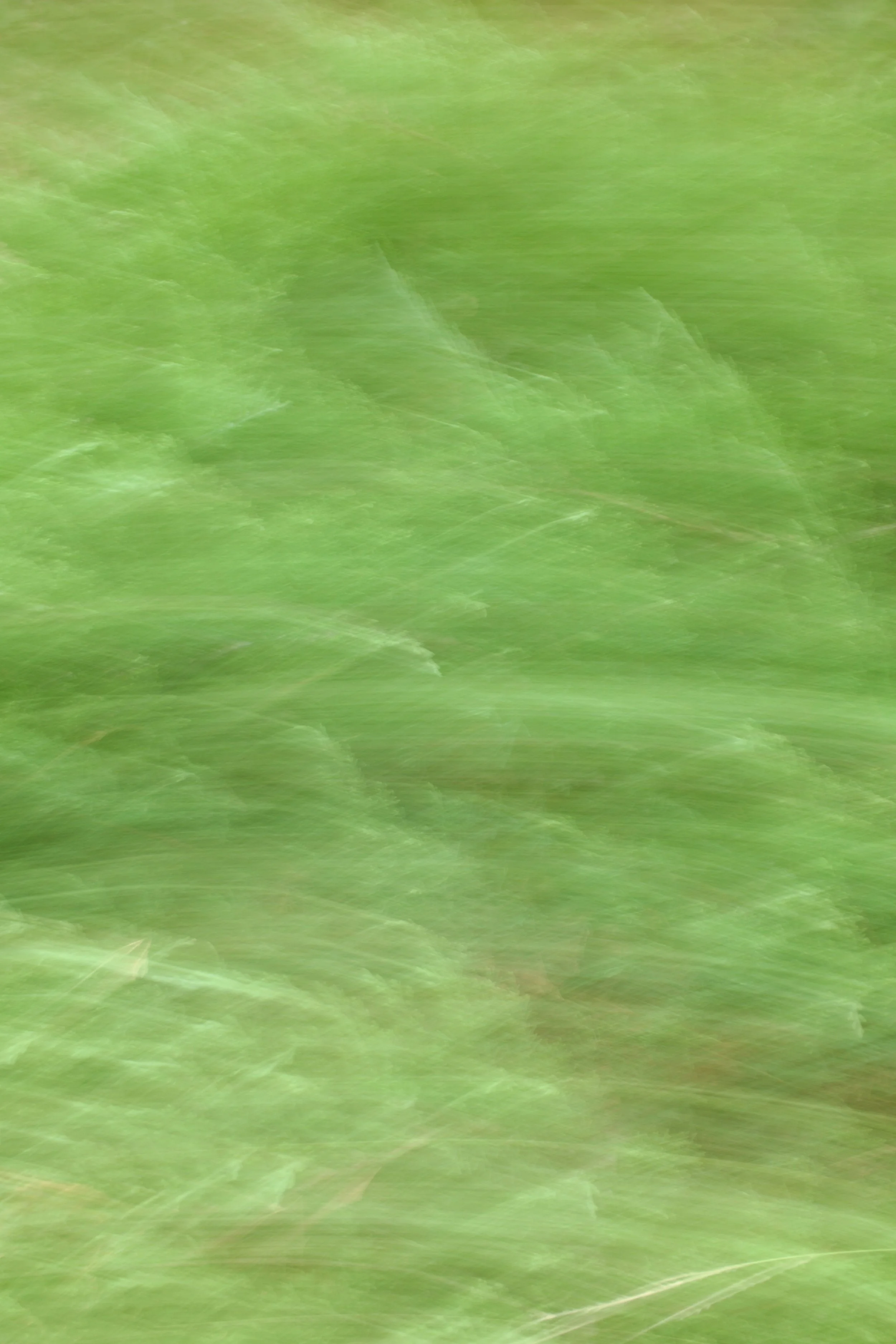  Movement 2023:410 (2023) C-print on wood panel, 60”x40” 