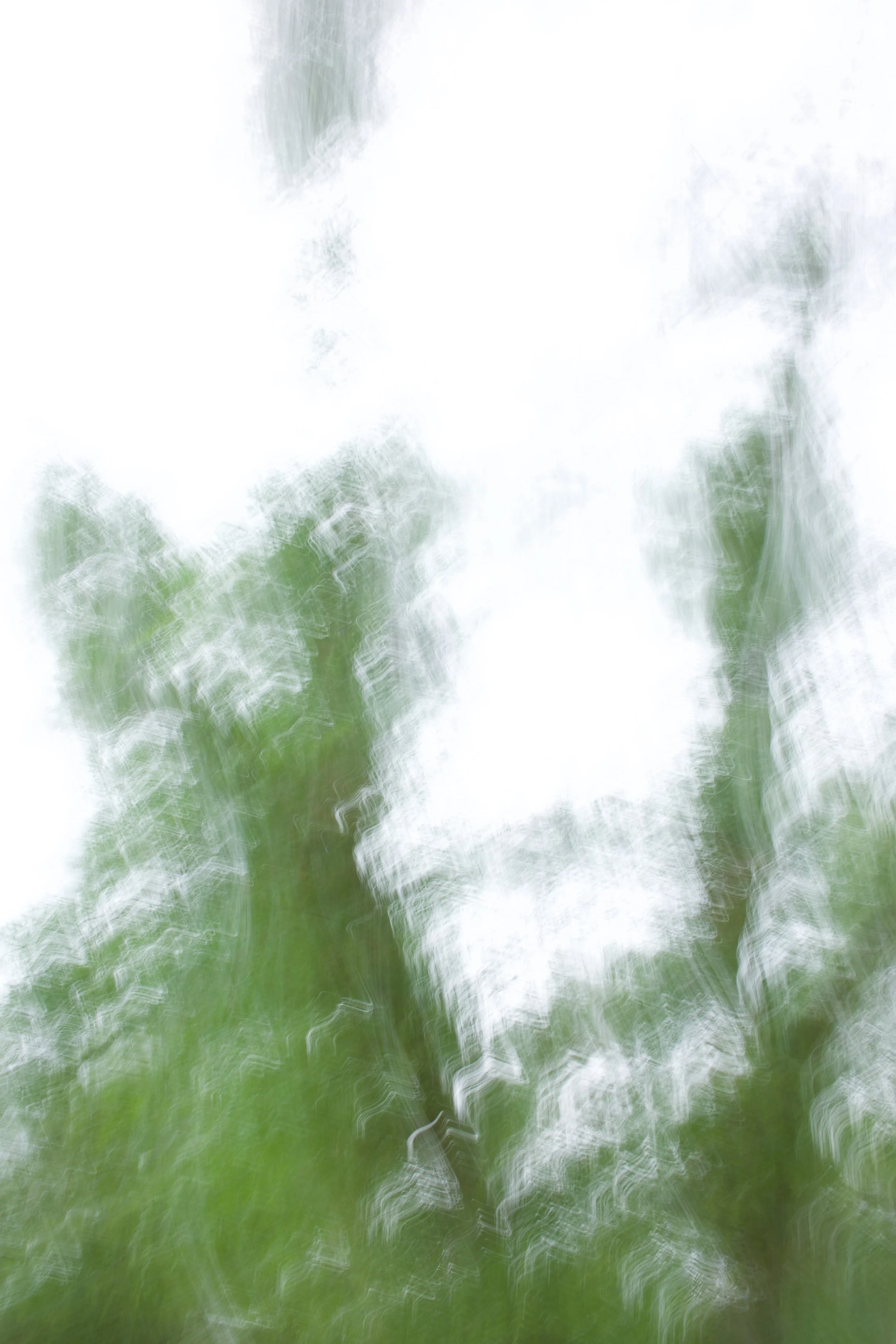  Movement 2023:416 (2023) C-print on wood panel, 60”x40” 