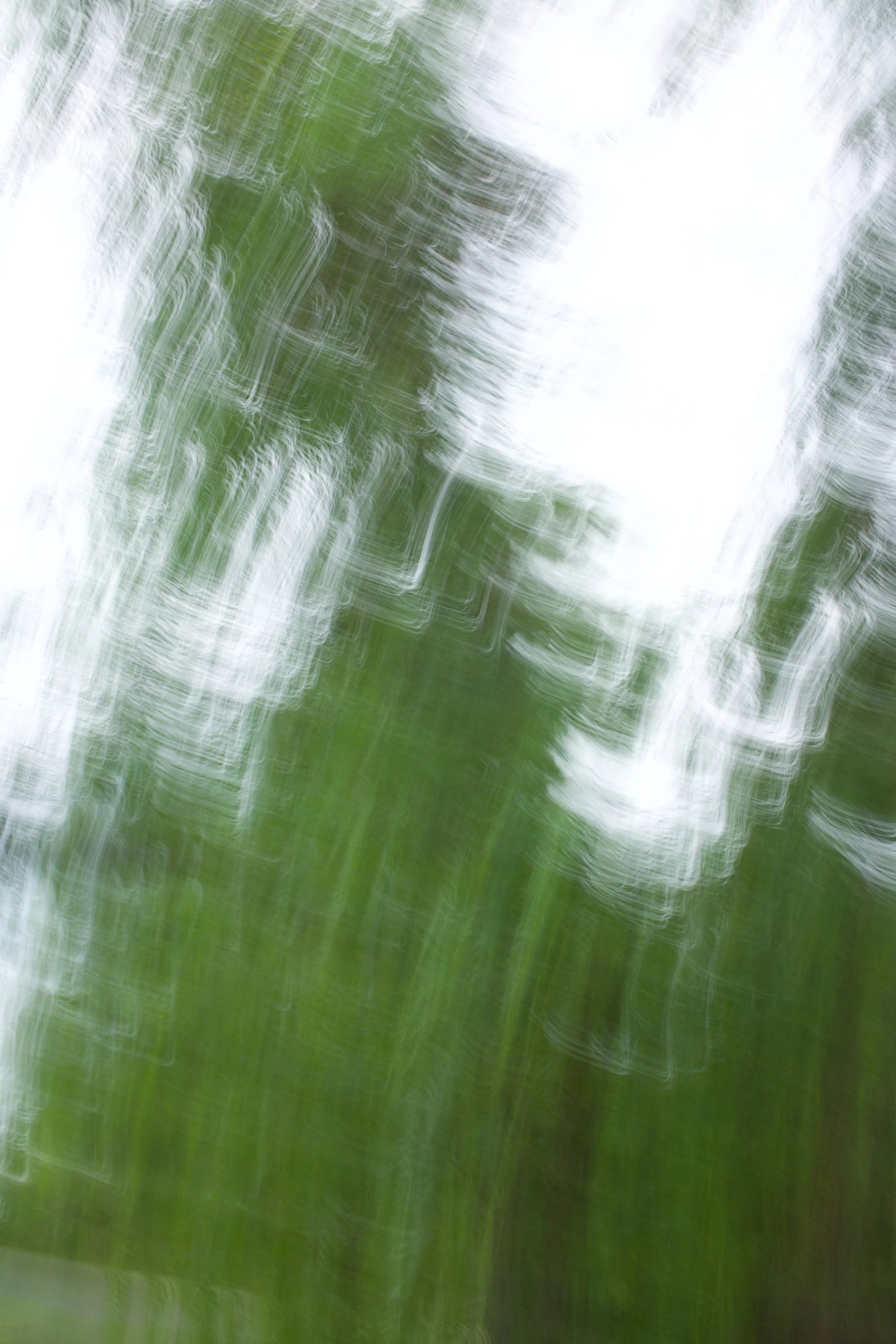  Movement 2023:420 (2023) C-print on wood panel, 60”x40” 