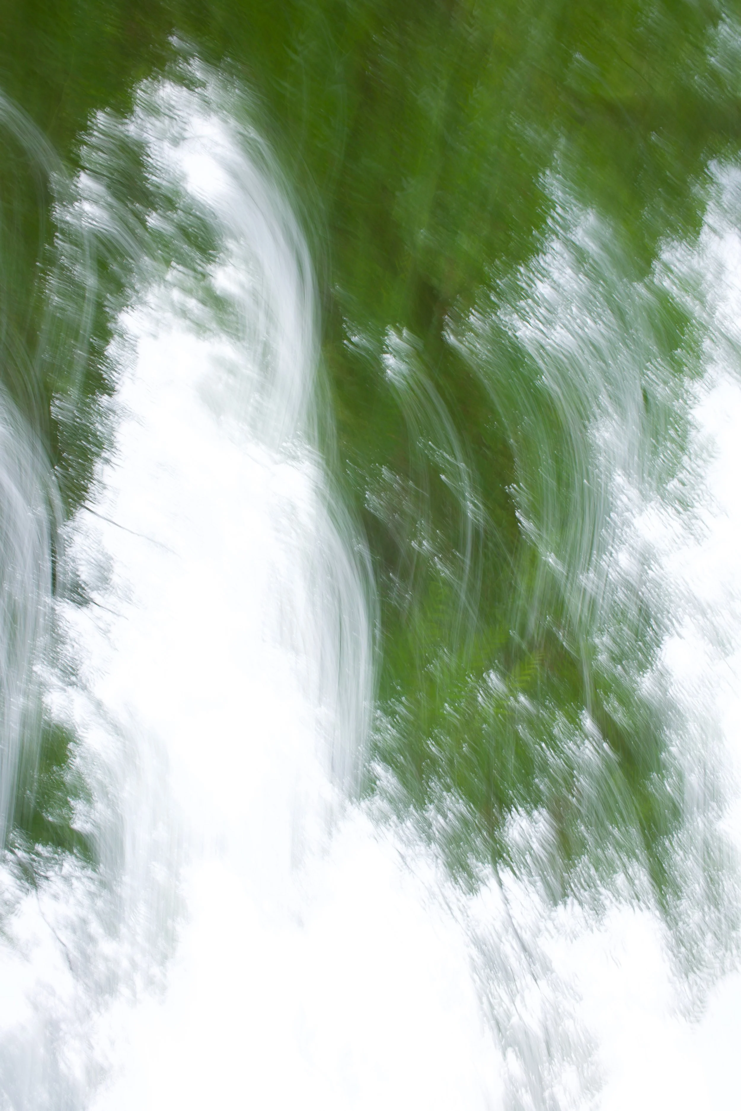  Movement 2023:421 (2023) C-print on wood panel, 60”x40” 