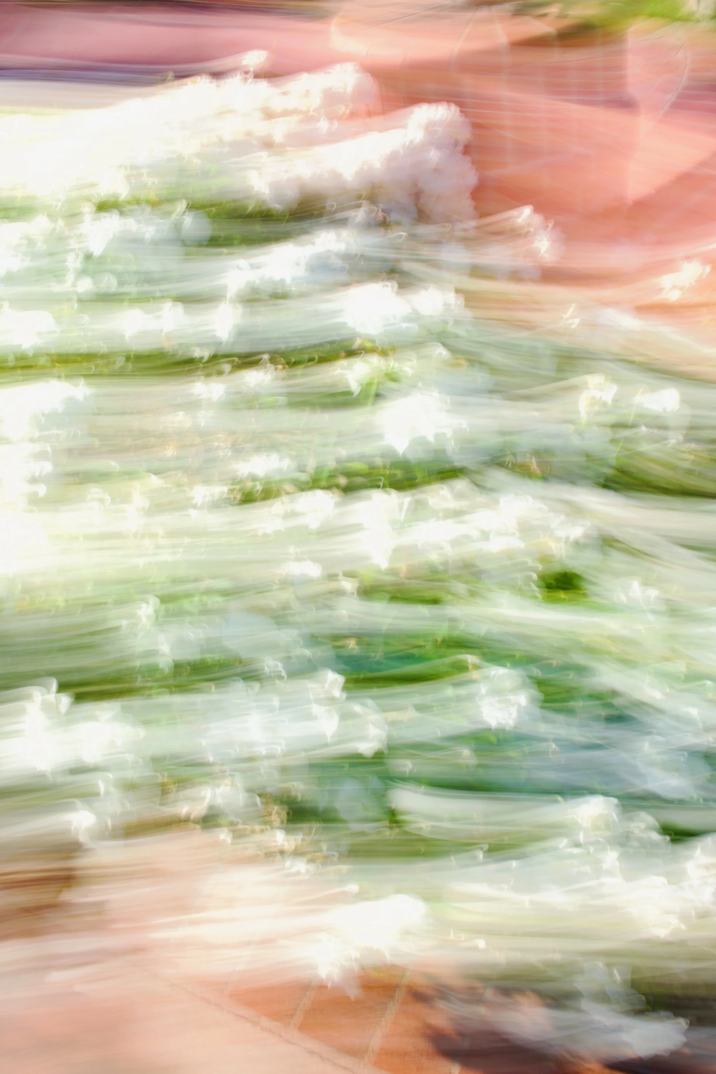  Movement 2023:422 (2023) C-print on wood panel, 60”x40” 