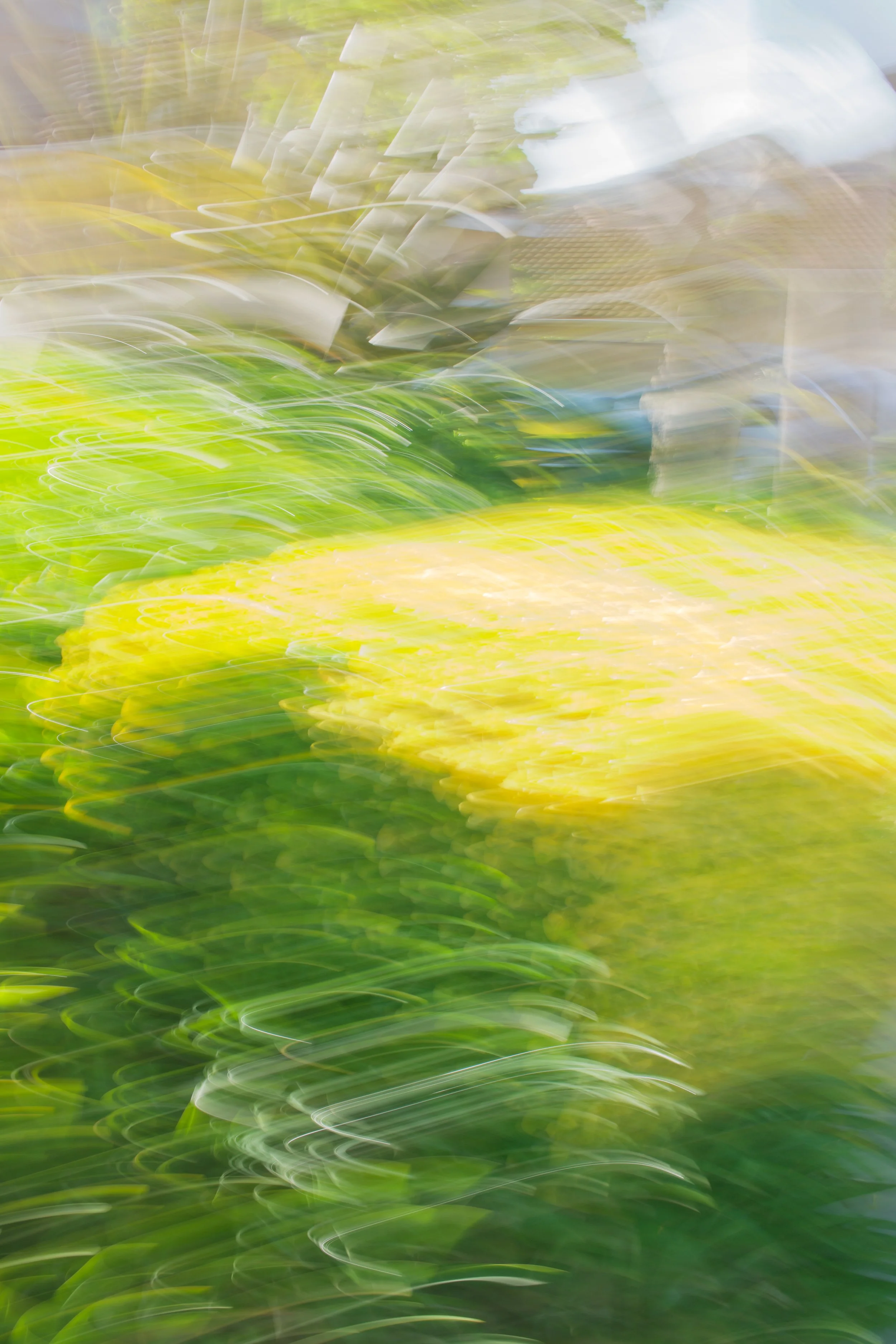  Movement 2023:423 (2023) C-print on wood panel, 60”x40” 