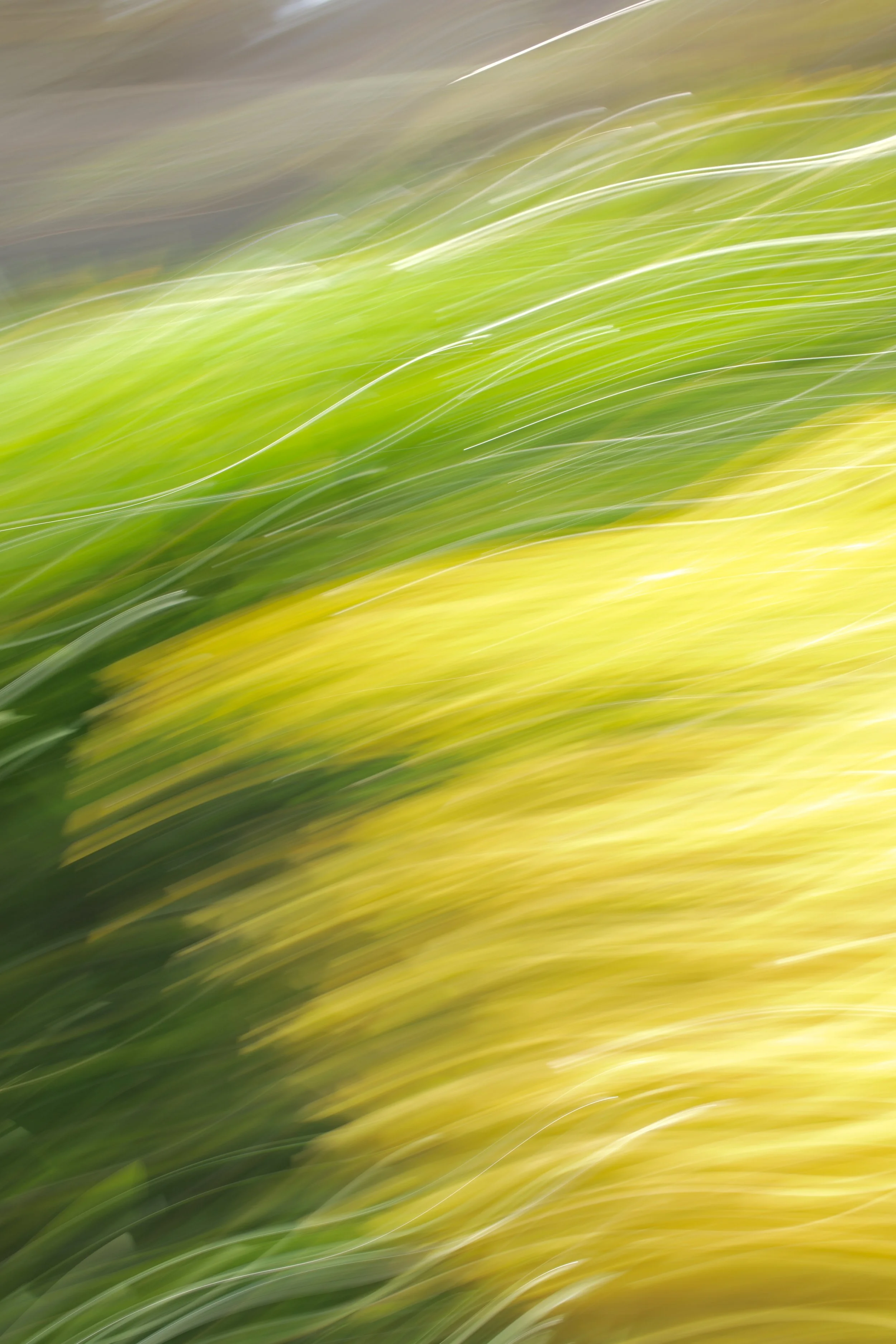  Movement 2023:424 (2023) C-print on wood panel, 60”x40” 