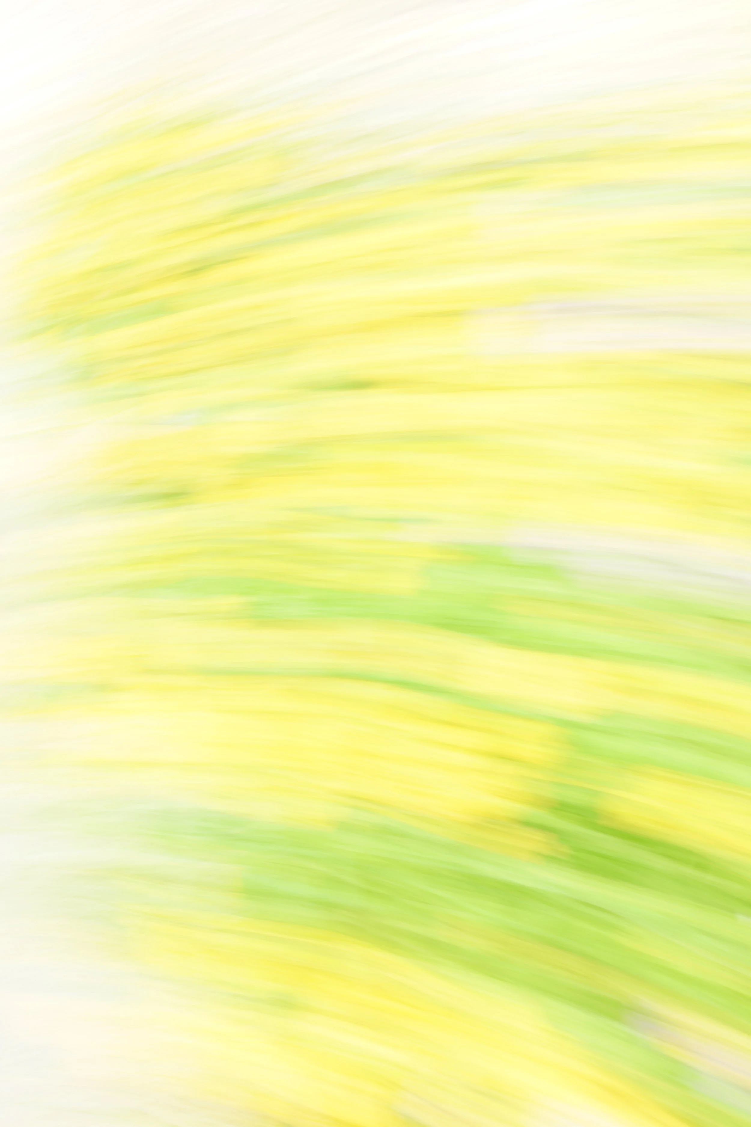  Movement 2023:430 (2023) C-print on wood panel, 60”x40” 