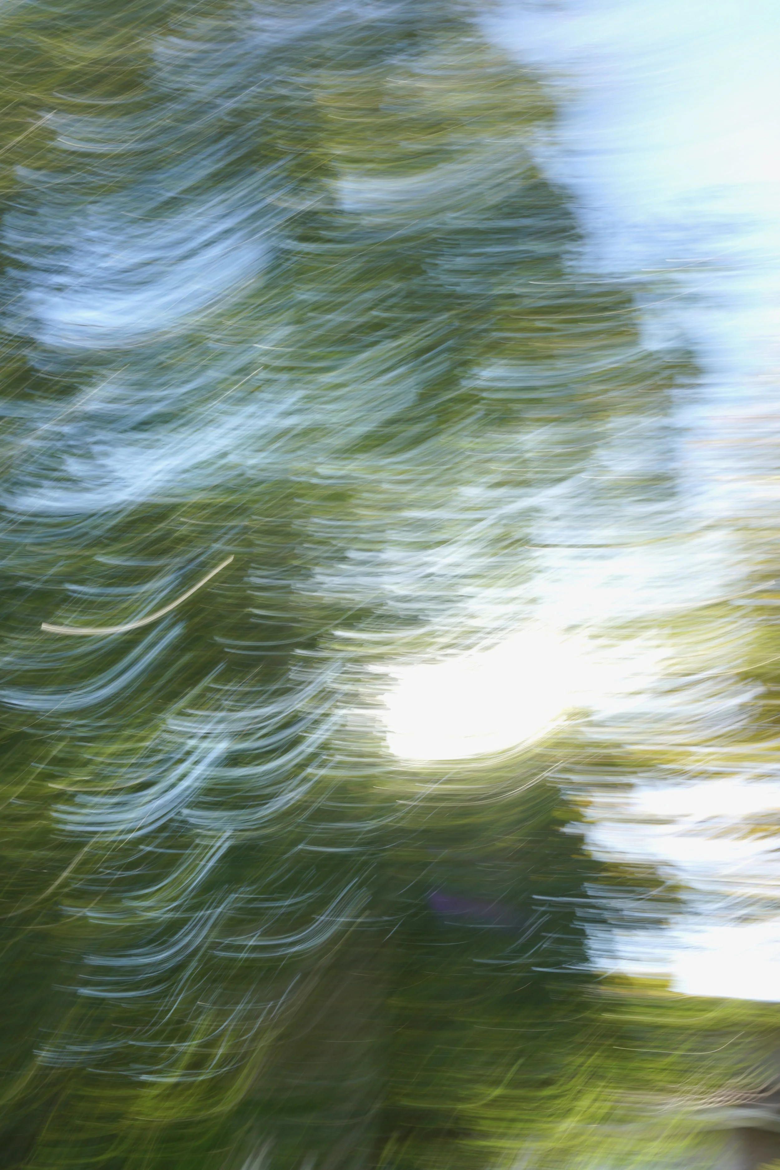  Movement 2023:433 (2023) C-print on wood panel, 60”x40” 