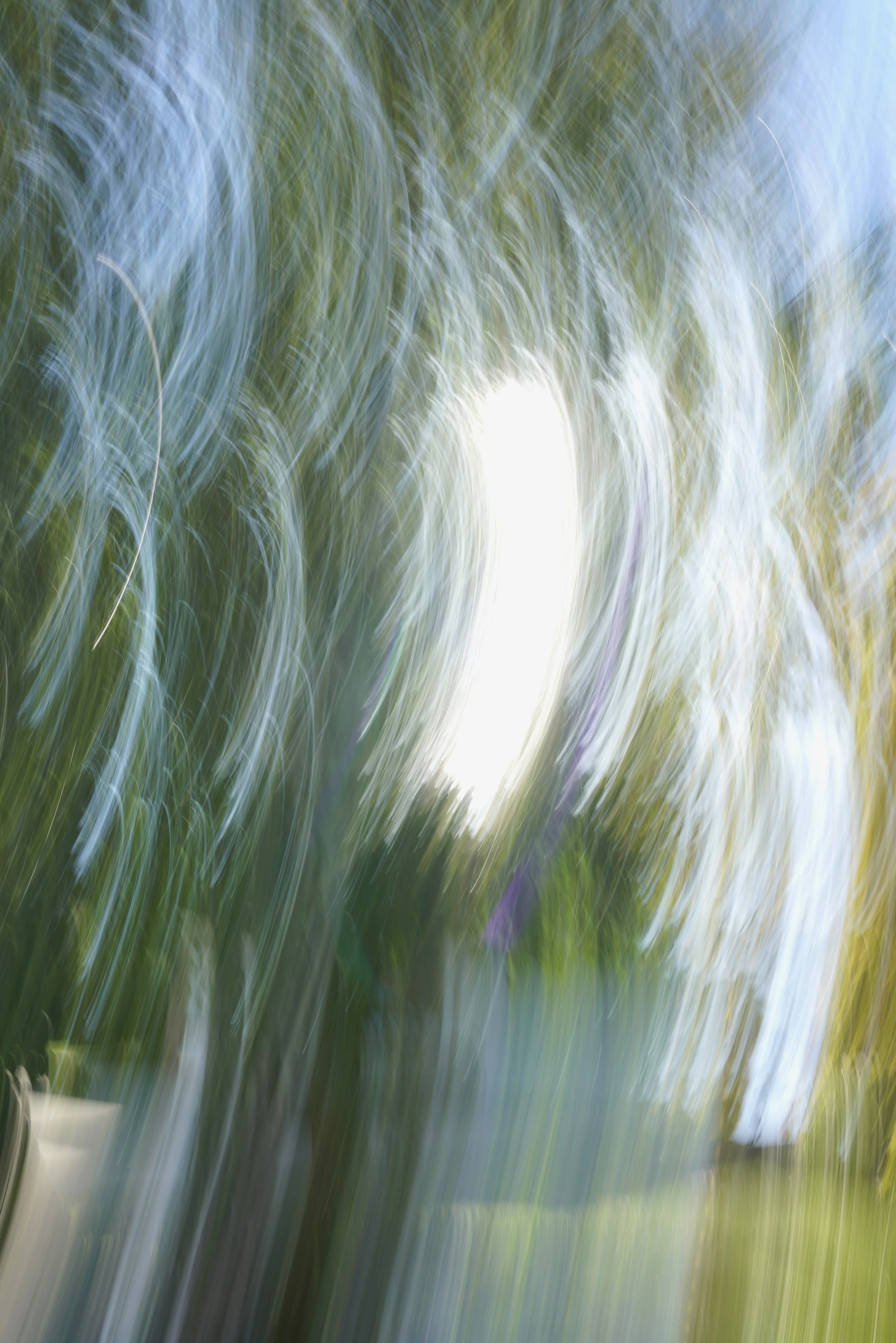  Movement 2023:434 (2023) C-print on wood panel, 60”x40” 