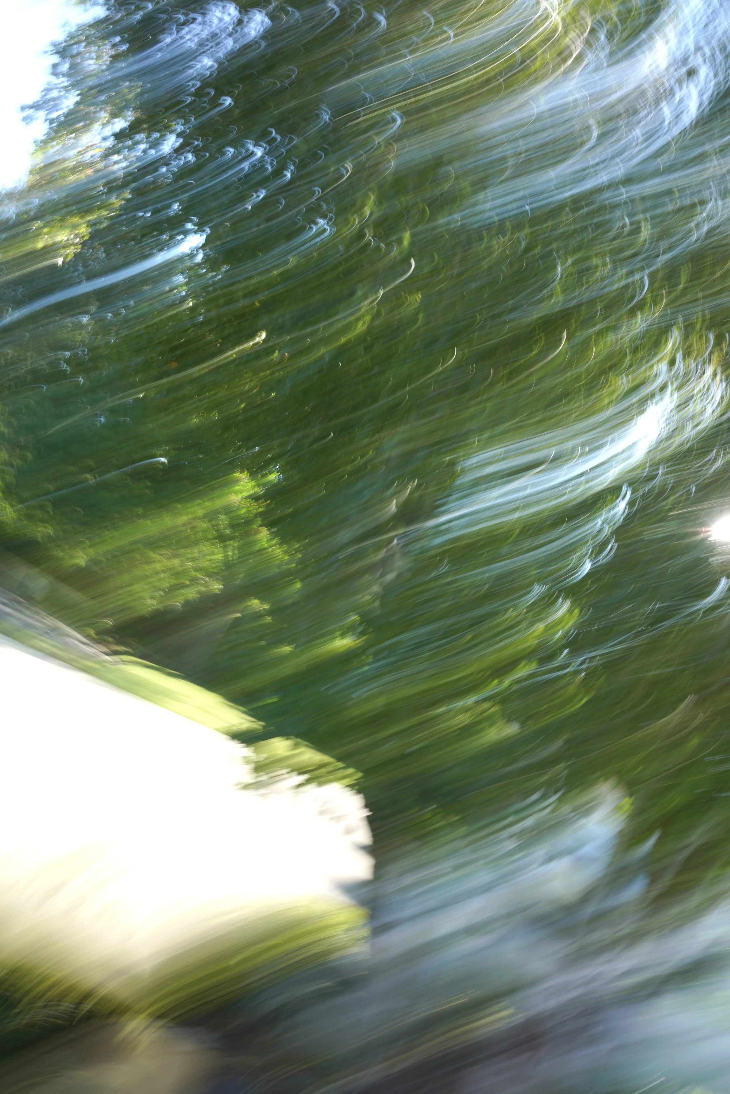  Movement 2023:436 (2023) C-print on wood panel, 60”x40” 