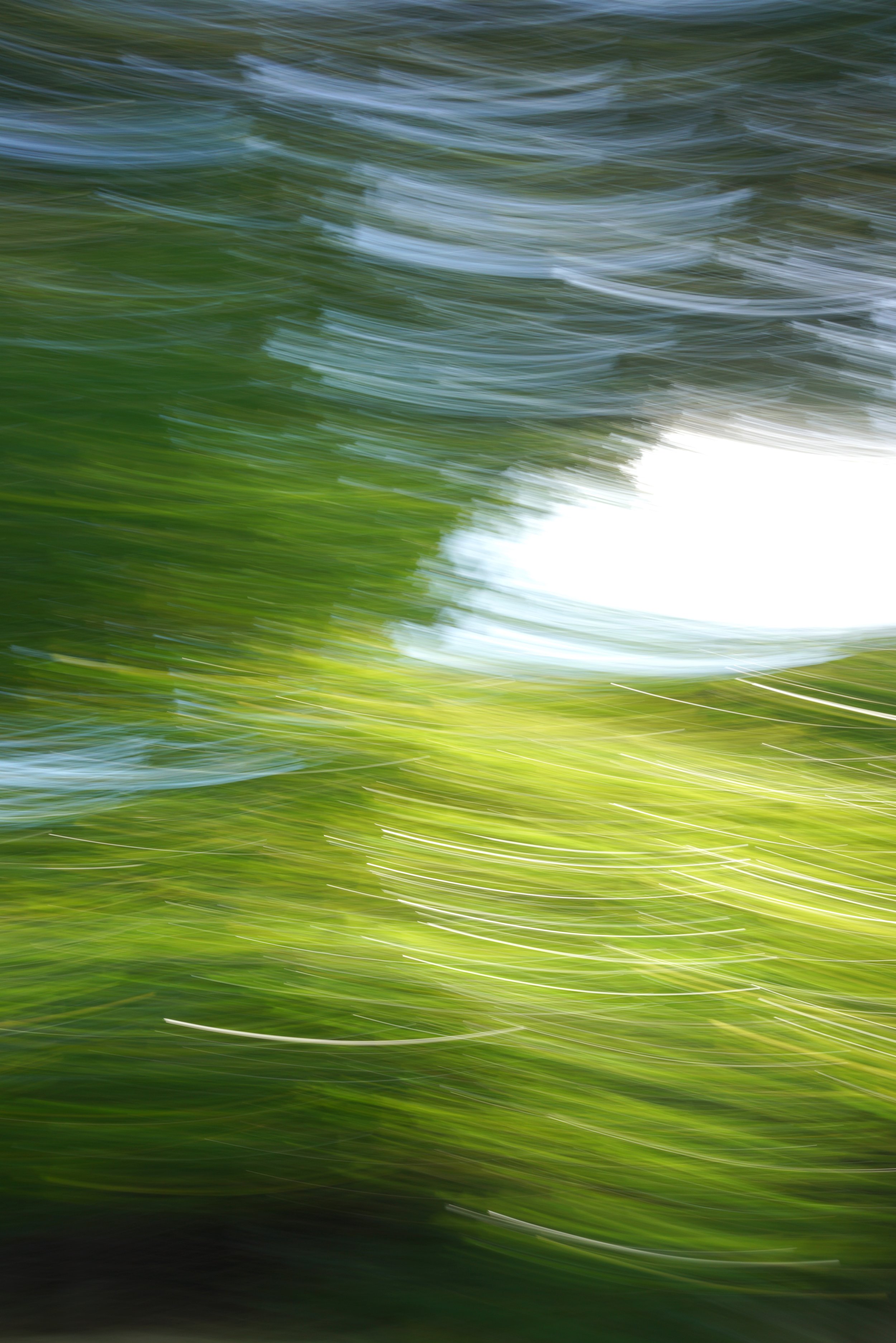  Movement 2023:437 (2023) C-print on wood panel, 60”x40” 