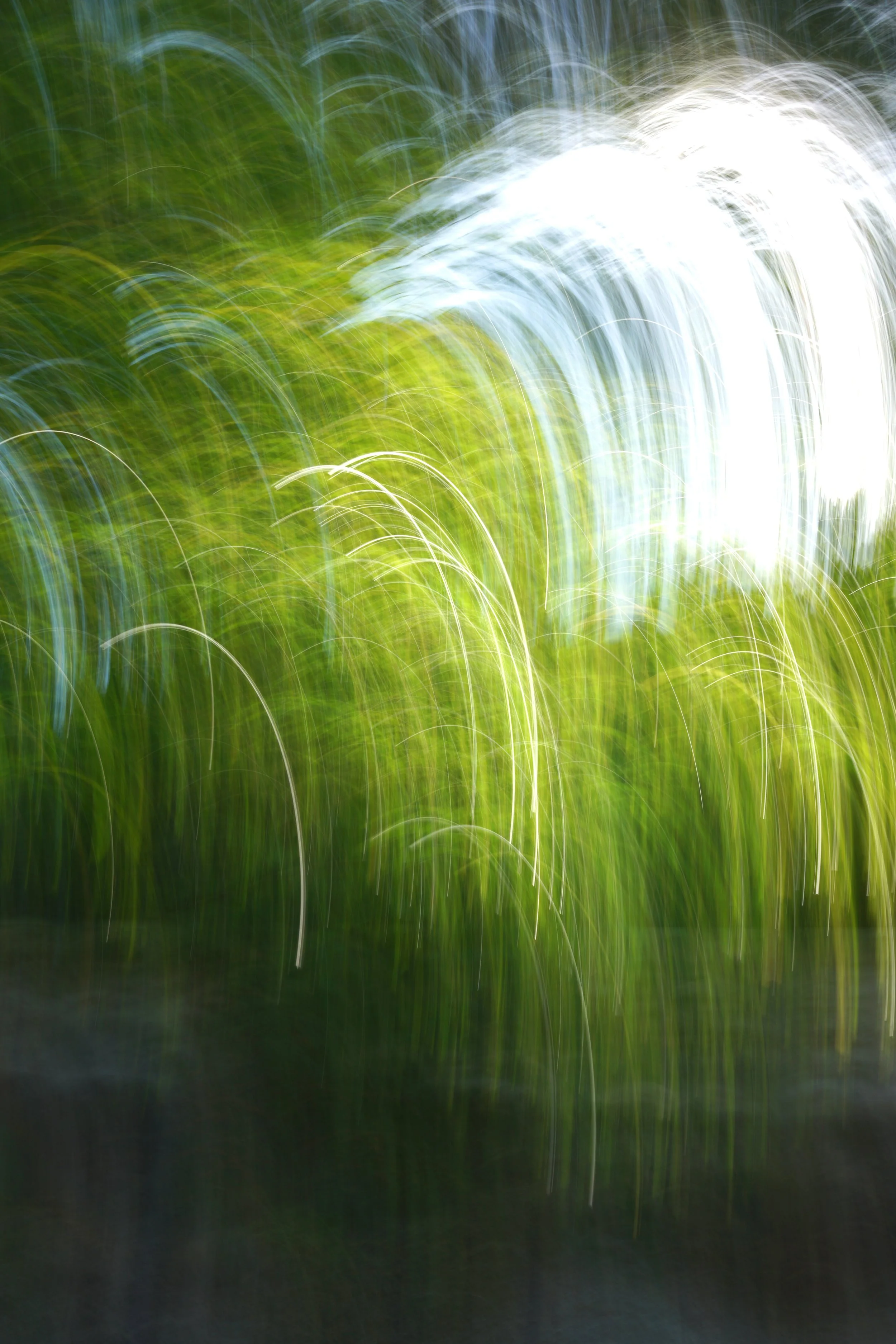  Movement 2023:438 (2023) C-print on wood panel, 60”x40” 