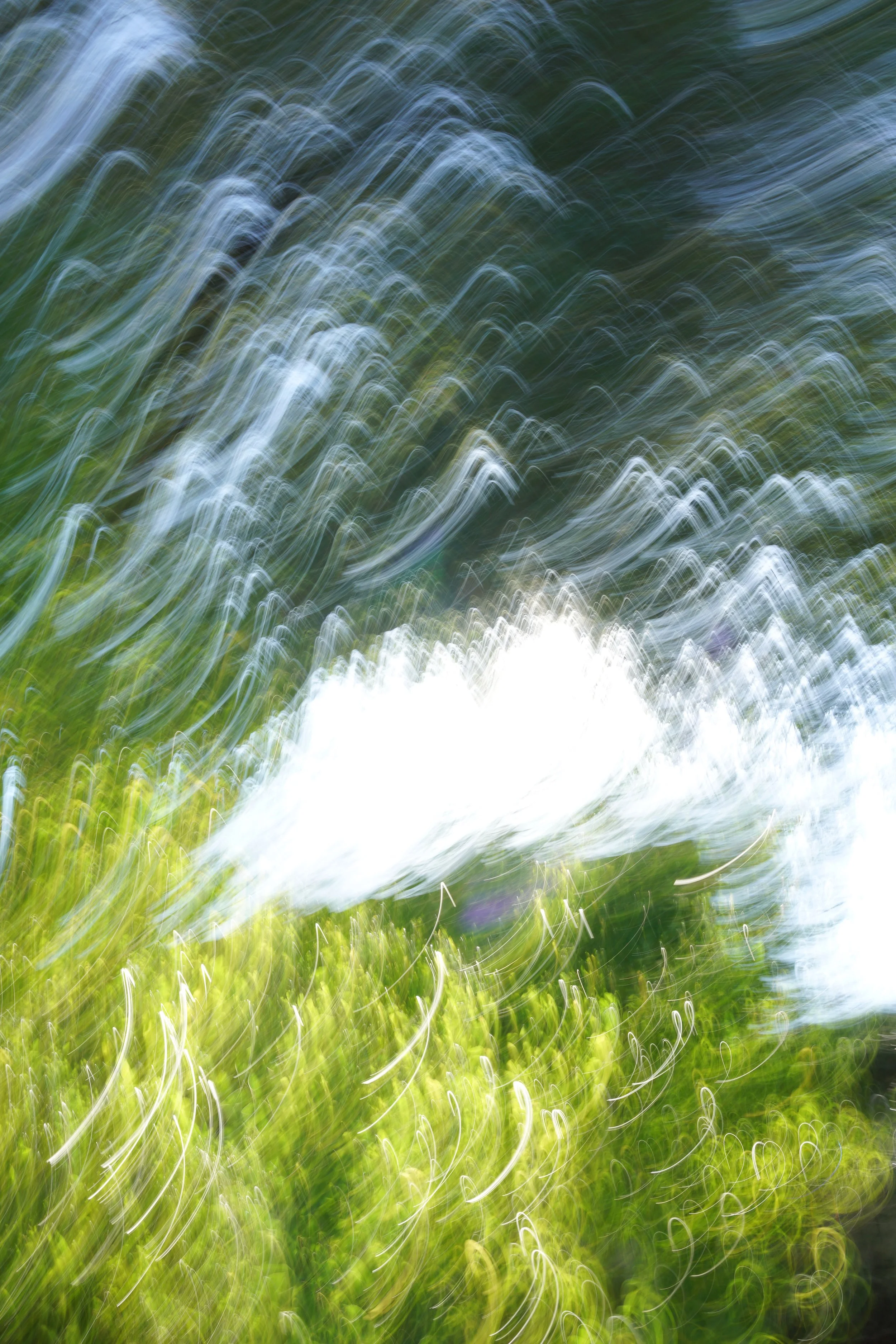  Movement 2023:440 (2023) C-print on wood panel, 60”x40” 