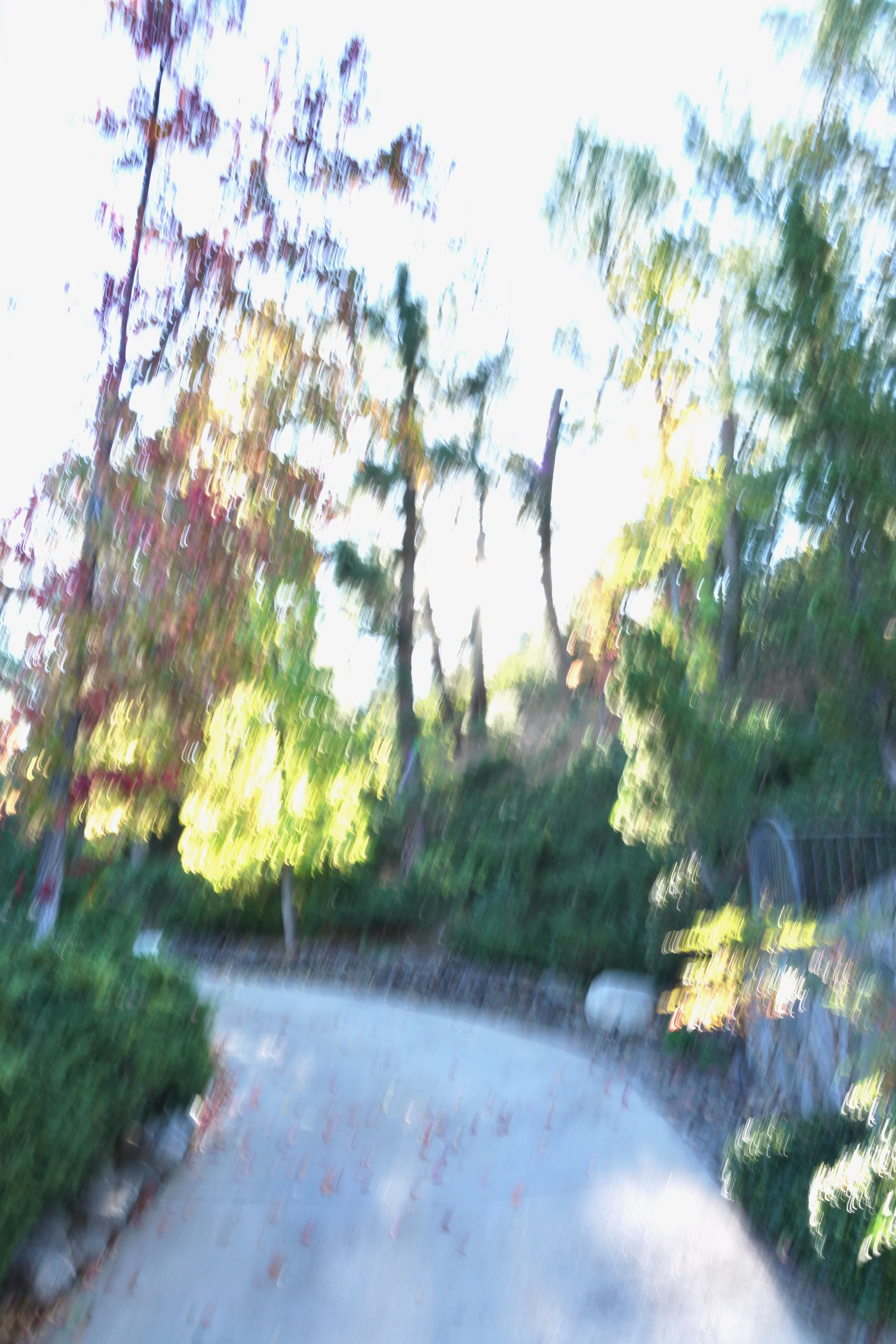  Movement 2023:443 (2023) C-print on wood panel, 60”x40” 