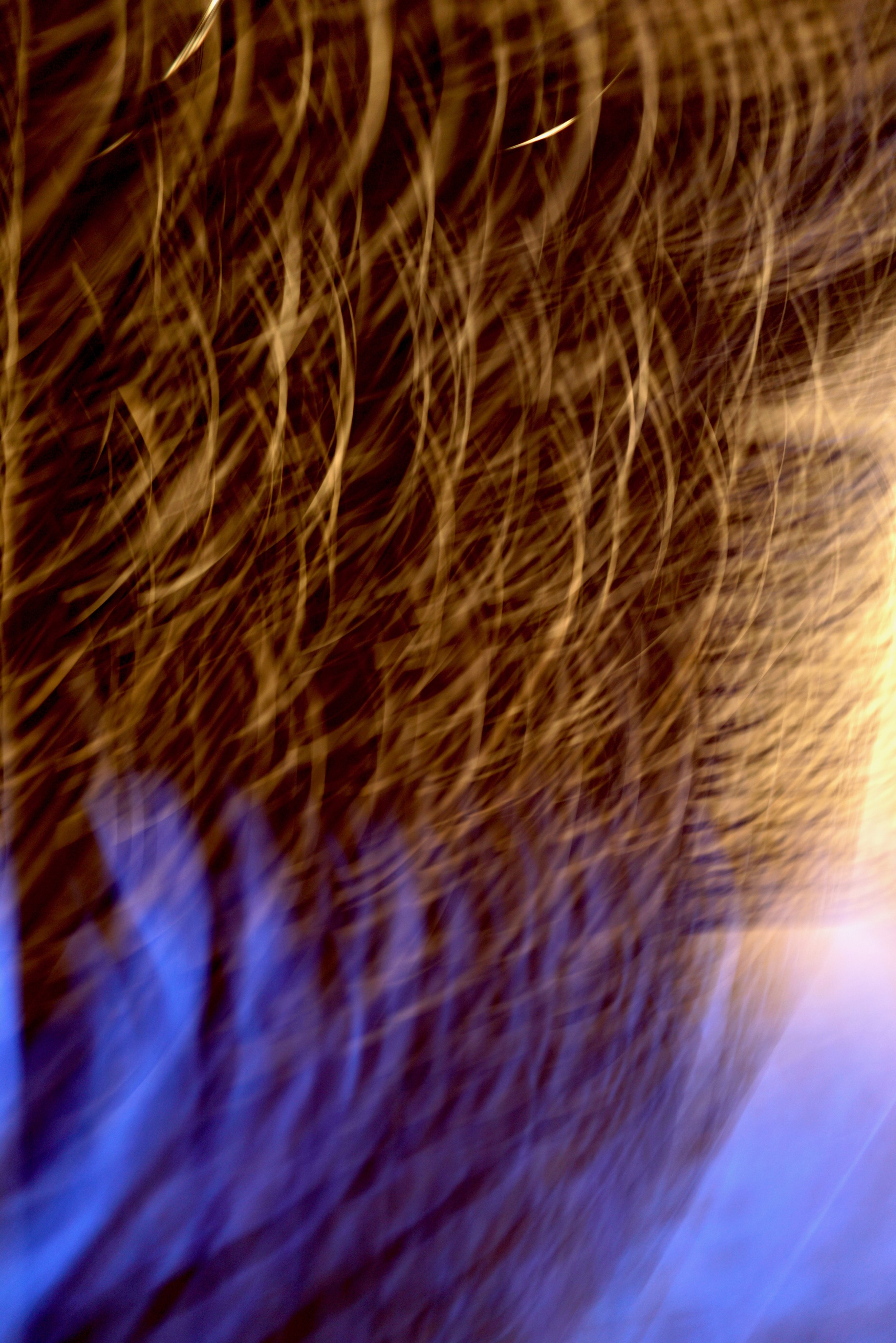  Movement 2023:445 (2023) C-print on wood panel, 60”x40” 