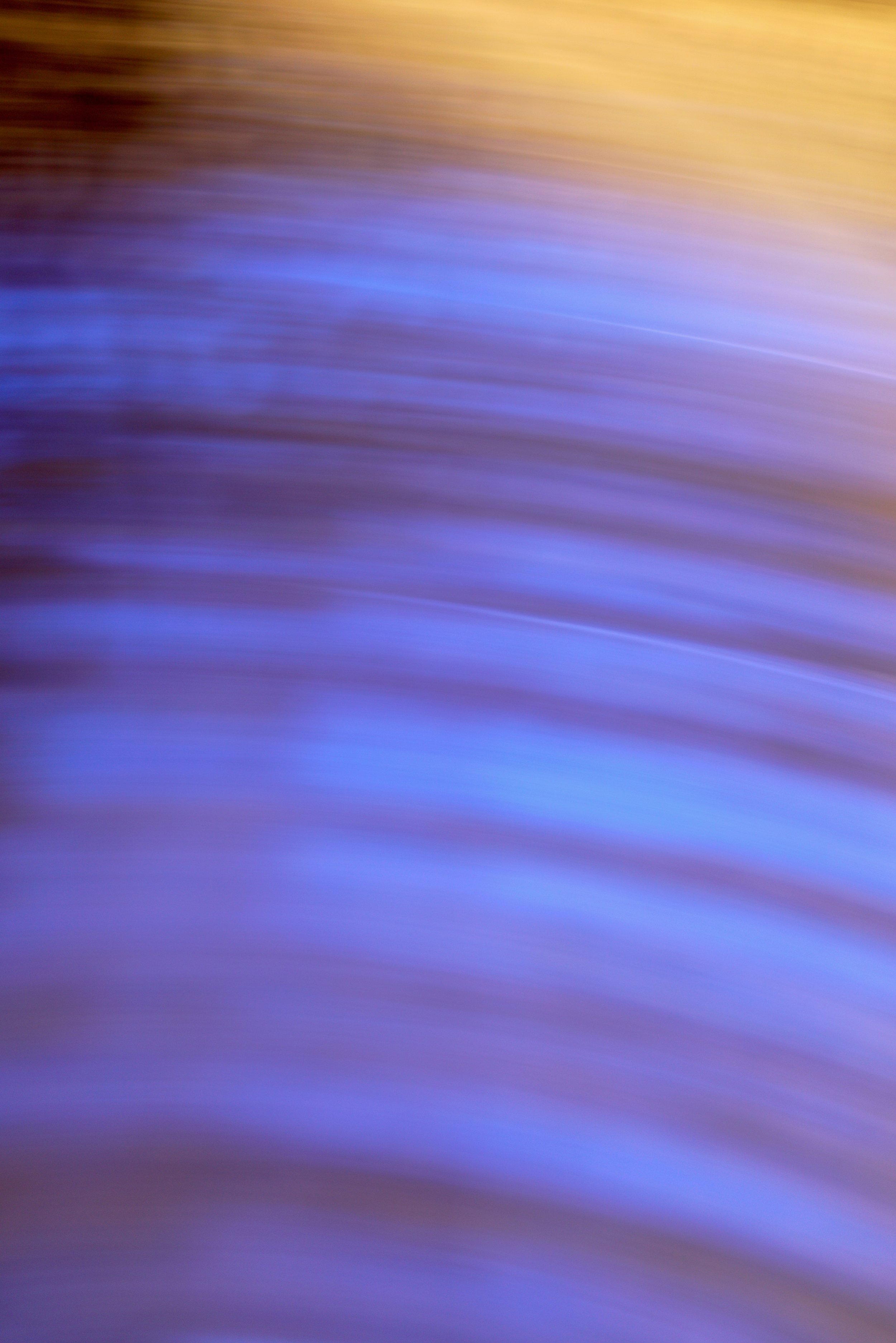  Movement 2023:446 (2023) C-print on wood panel, 60”x40” 