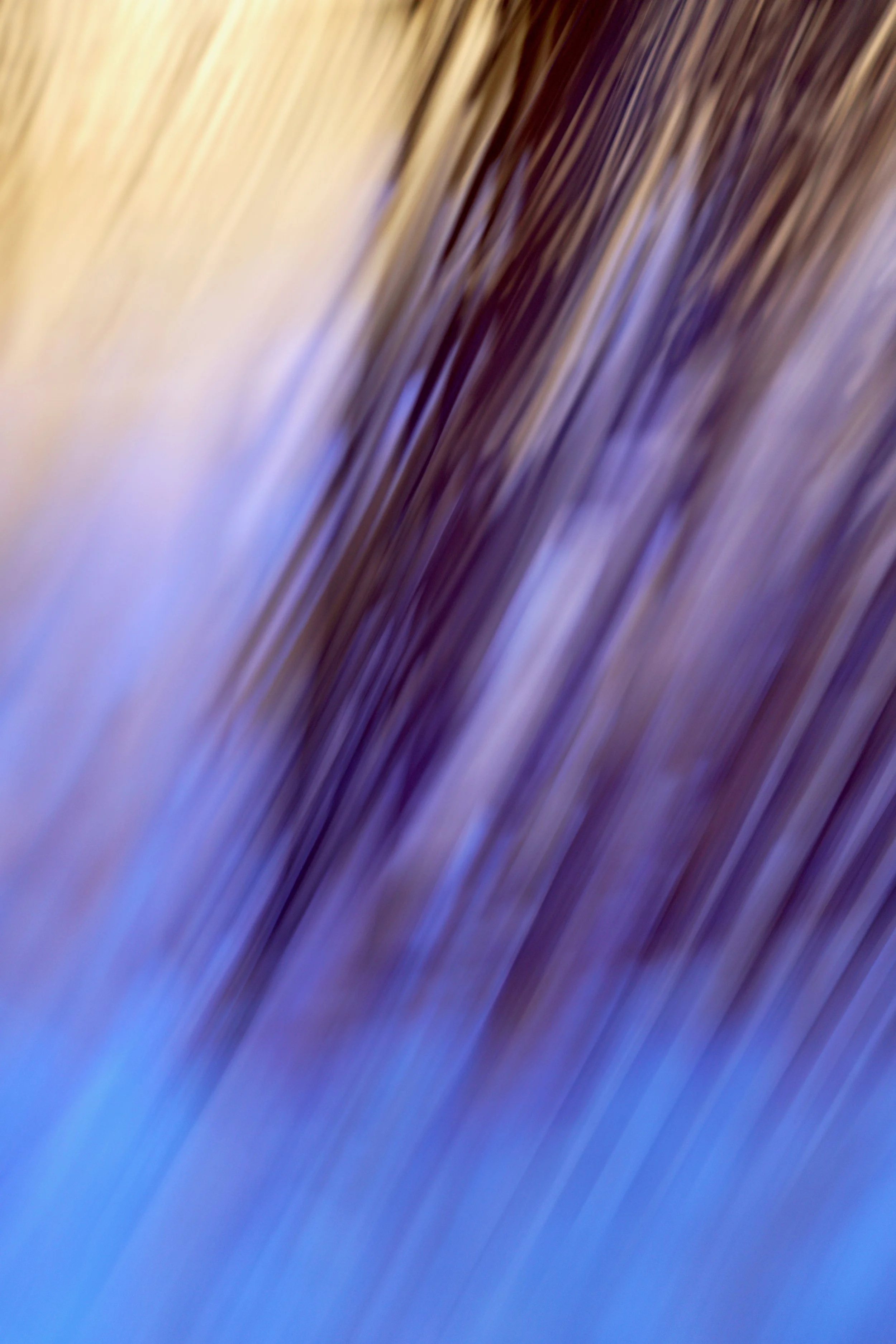  Movement 2023:448 (2023) C-print on wood panel, 60”x40” 