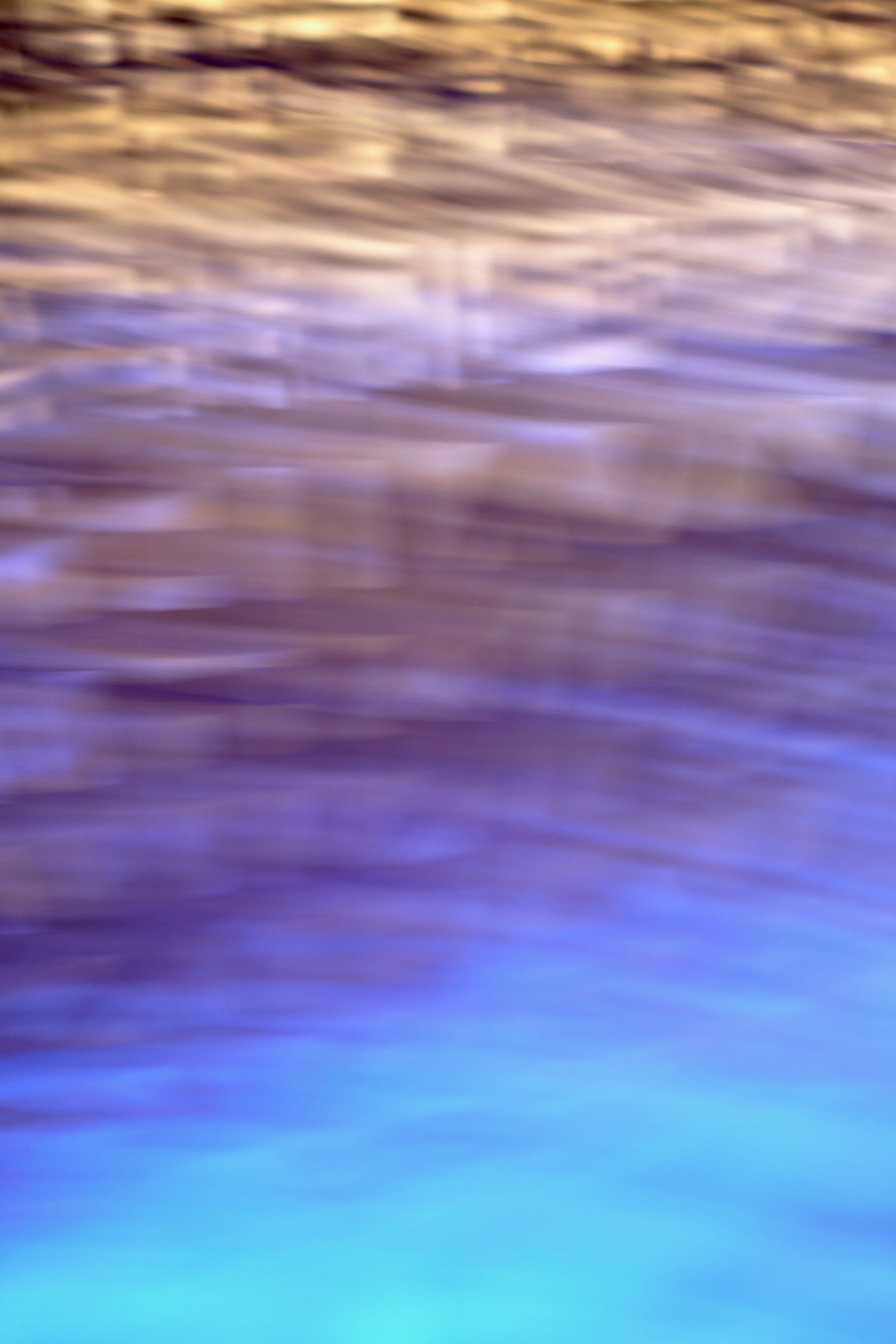  Movement 2023:449 (2023) C-print on wood panel, 60”x40” 